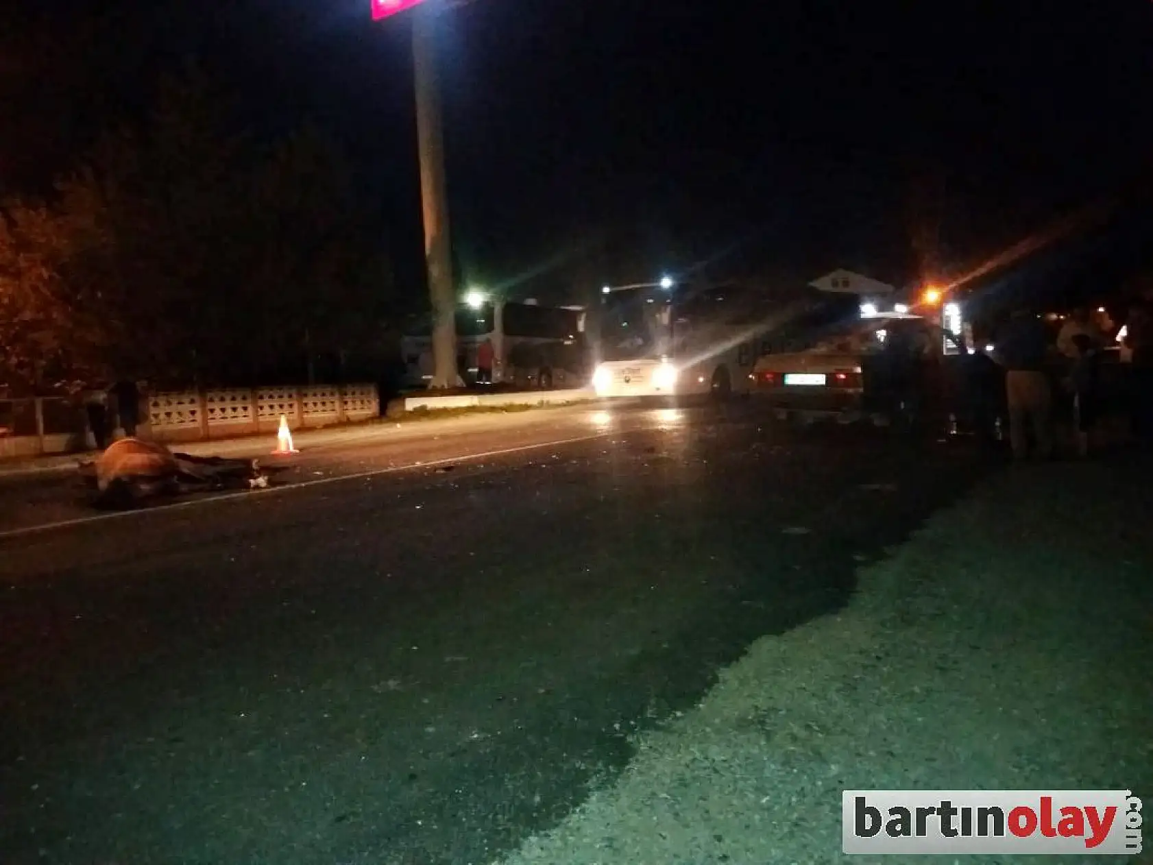 Otomobil önüne çıkan ata çarptı