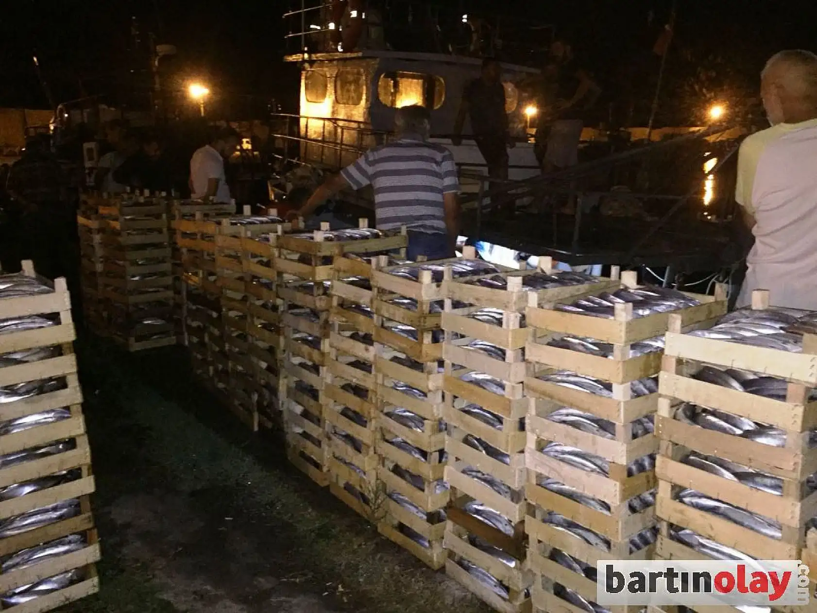 Palamut tezgaha düştü! 