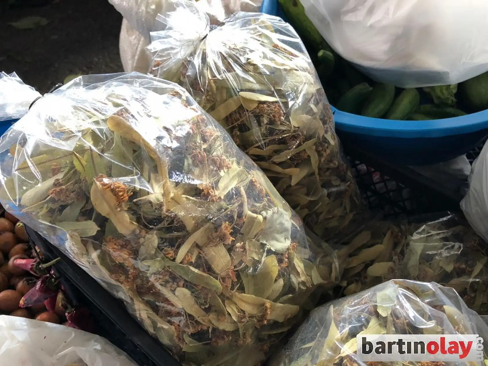 Pazarda çeşit çeşit meyve ve sebzeler