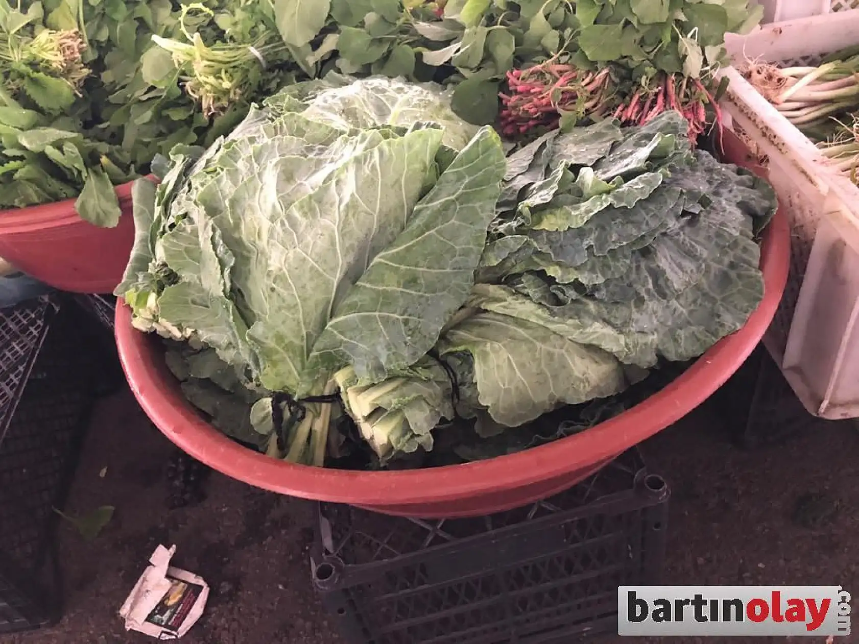 Pazarda çeşit çeşit meyve ve sebzeler