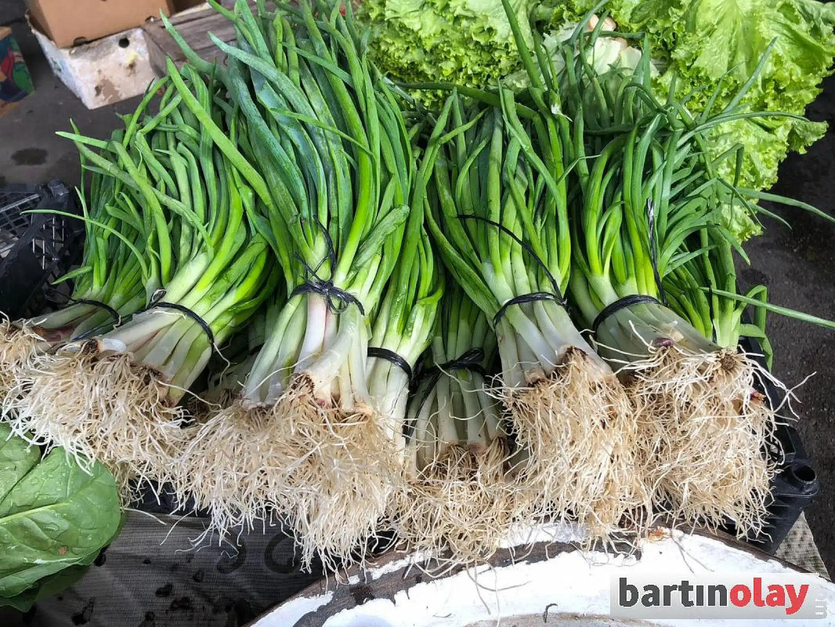 Pazarda çeşit çeşit meyve ve sebzeler