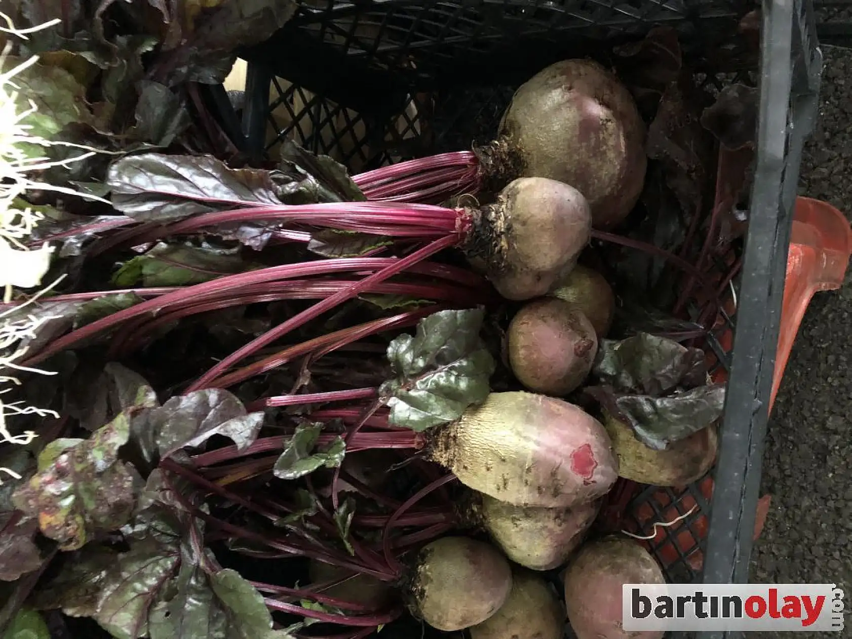 Pazarda çeşit çeşit meyve ve sebzeler