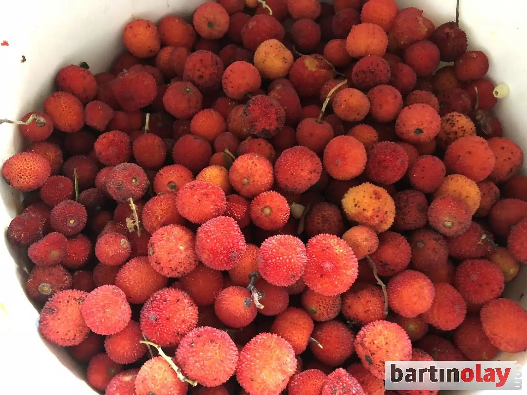 Pazarda çeşit çeşit meyve ve sebzeler