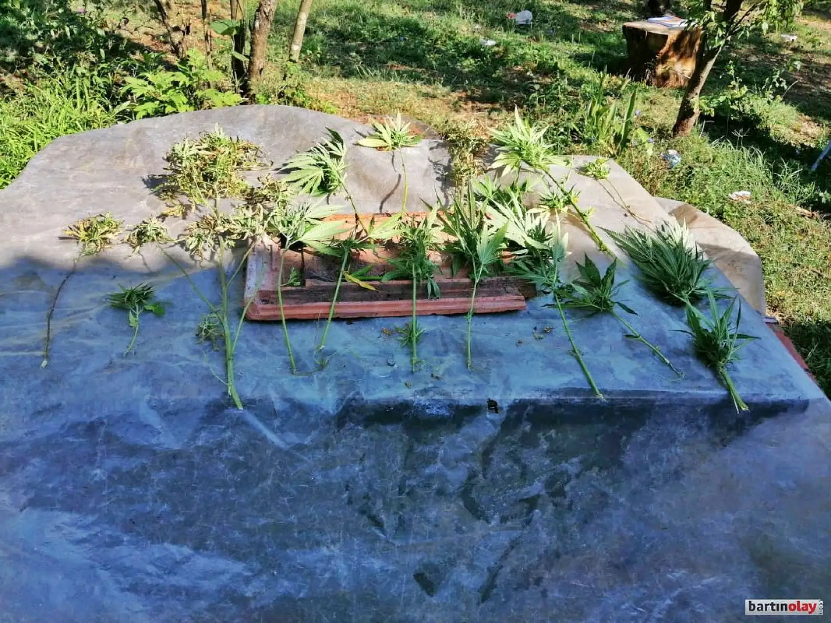 Sokak satıcılarına darbe, 2 kişi tutuklandı