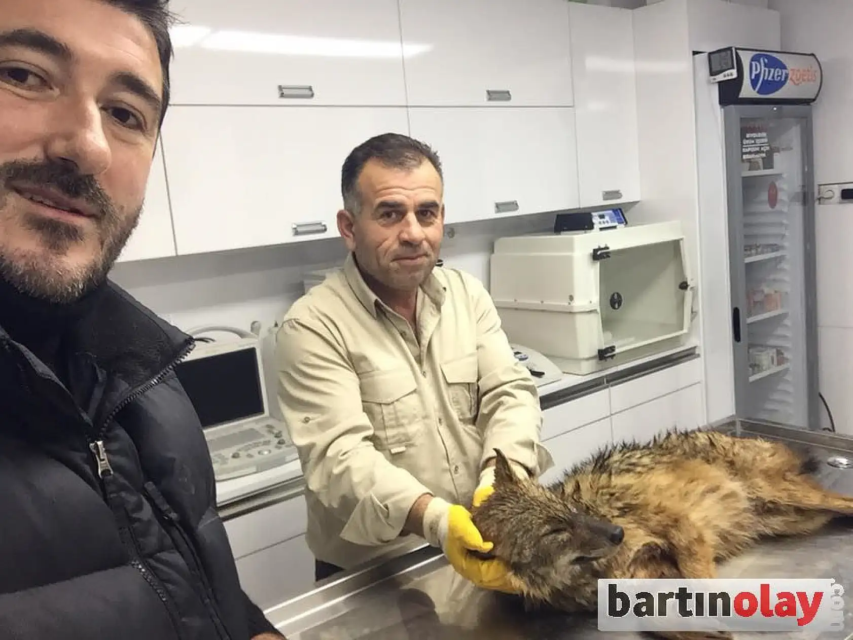 Su kanalına düşen tilkiyi kurtarma operasyonu