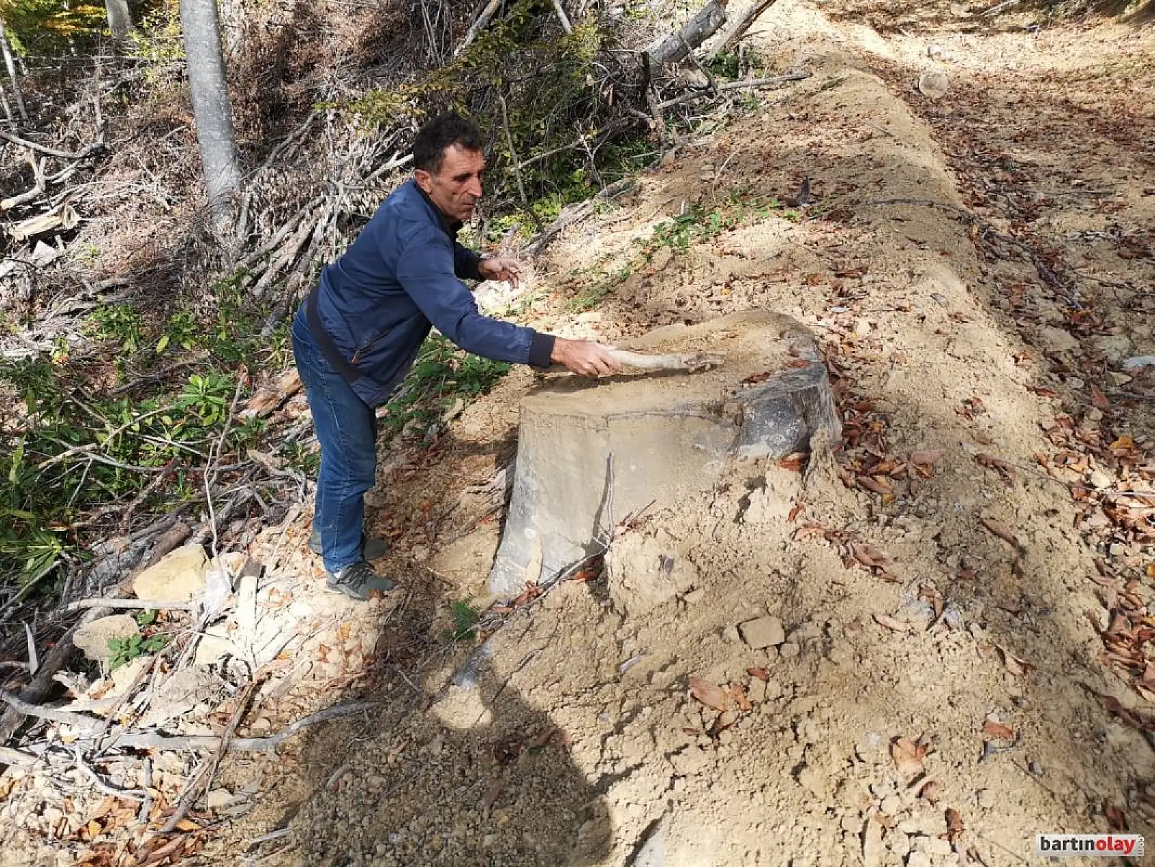 Talan, rüşvet ve yolsuzluk iddiası