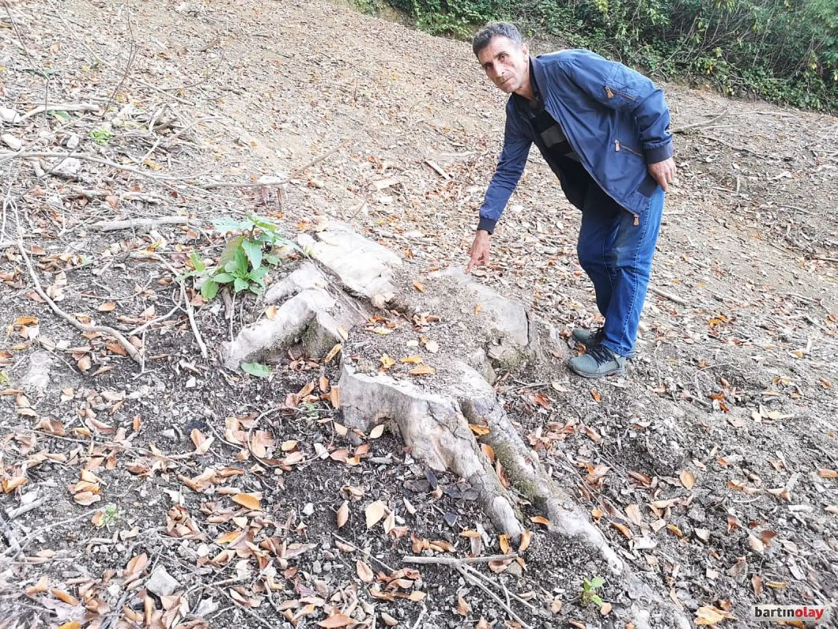 Talan, rüşvet ve yolsuzluk iddiası