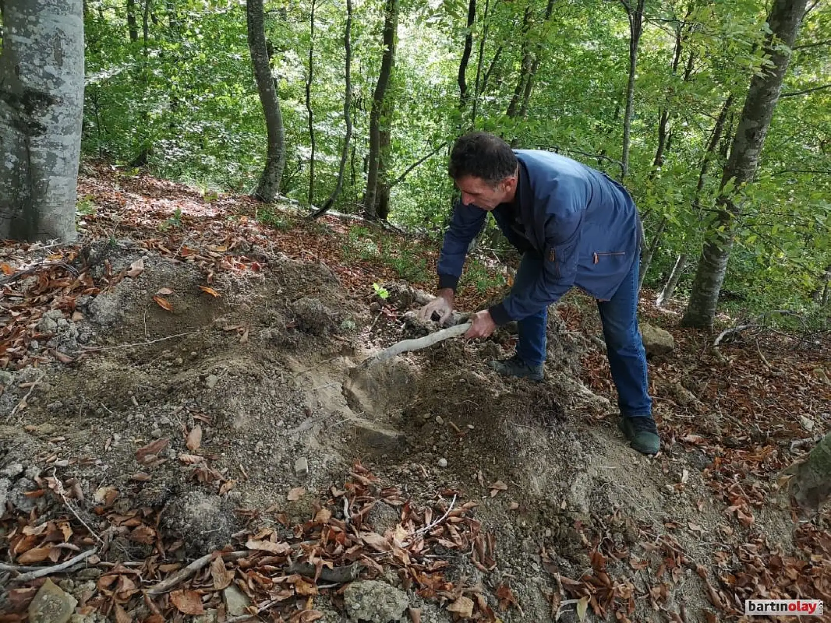 Talan, rüşvet ve yolsuzluk iddiası
