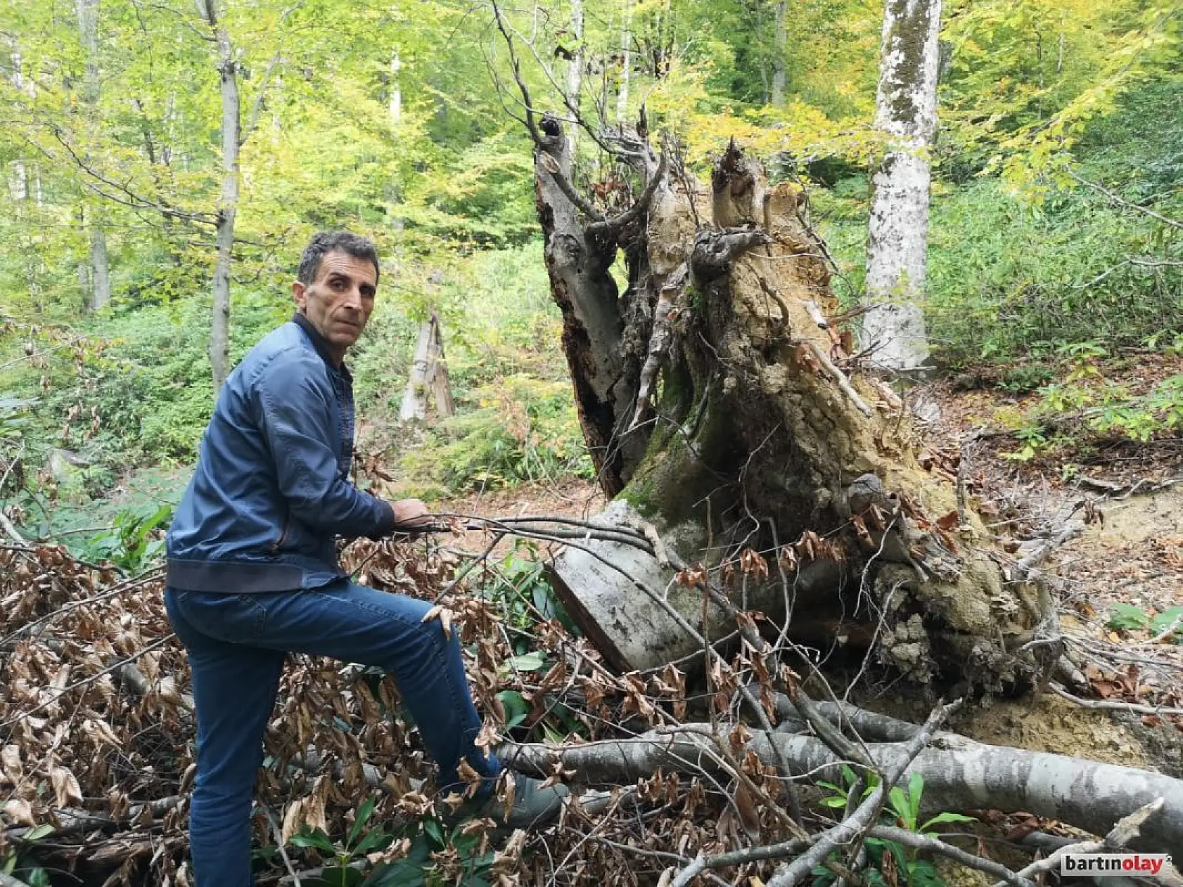 Talan, rüşvet ve yolsuzluk iddiası