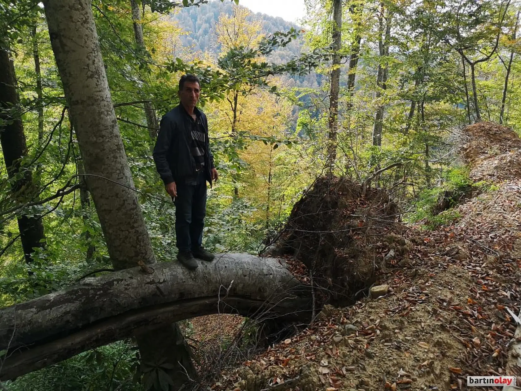 Talan, rüşvet ve yolsuzluk iddiası