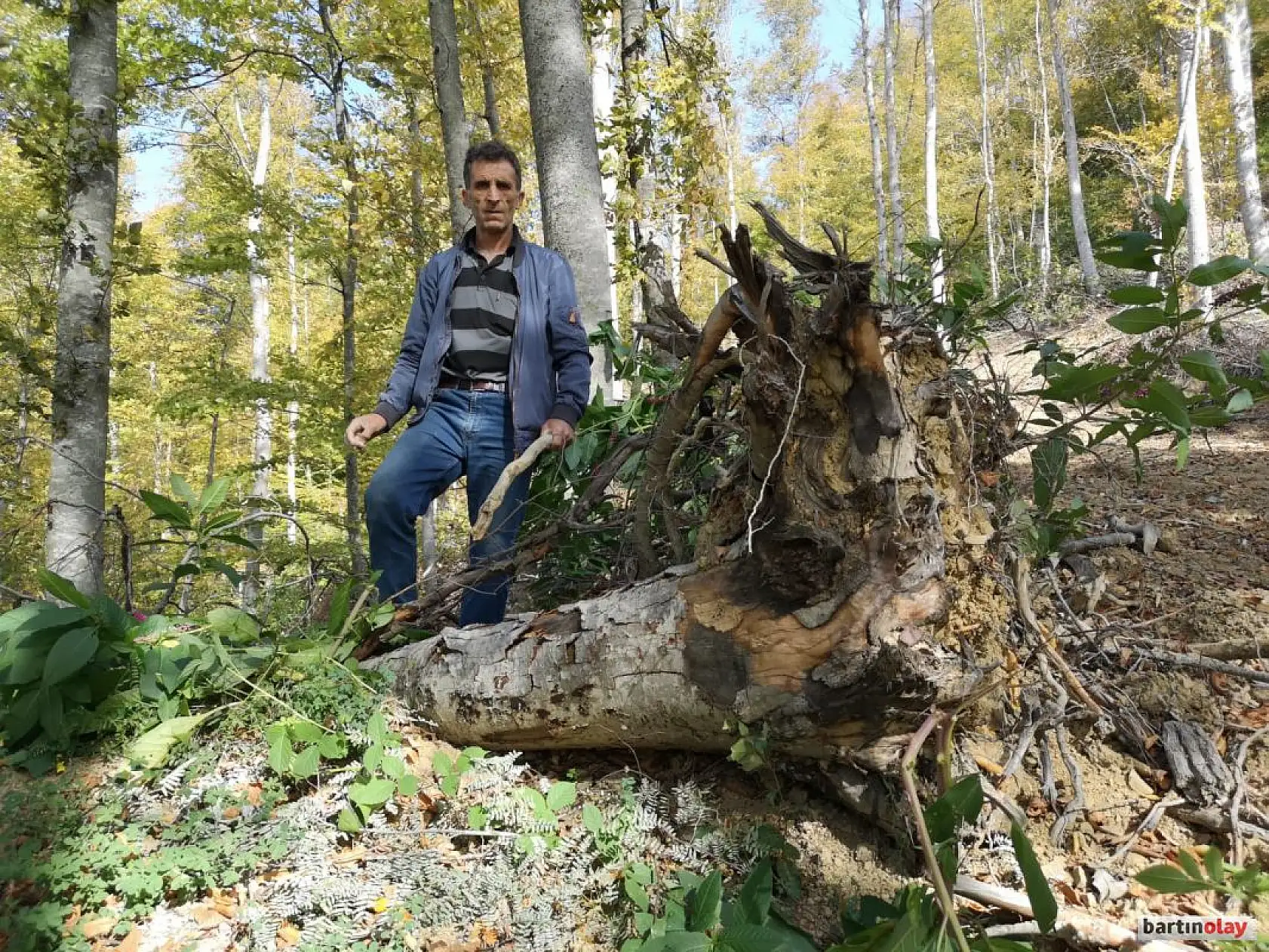 Talan, rüşvet ve yolsuzluk iddiası