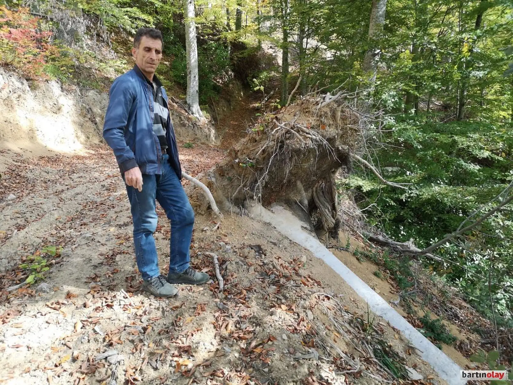 Talan, rüşvet ve yolsuzluk iddiası