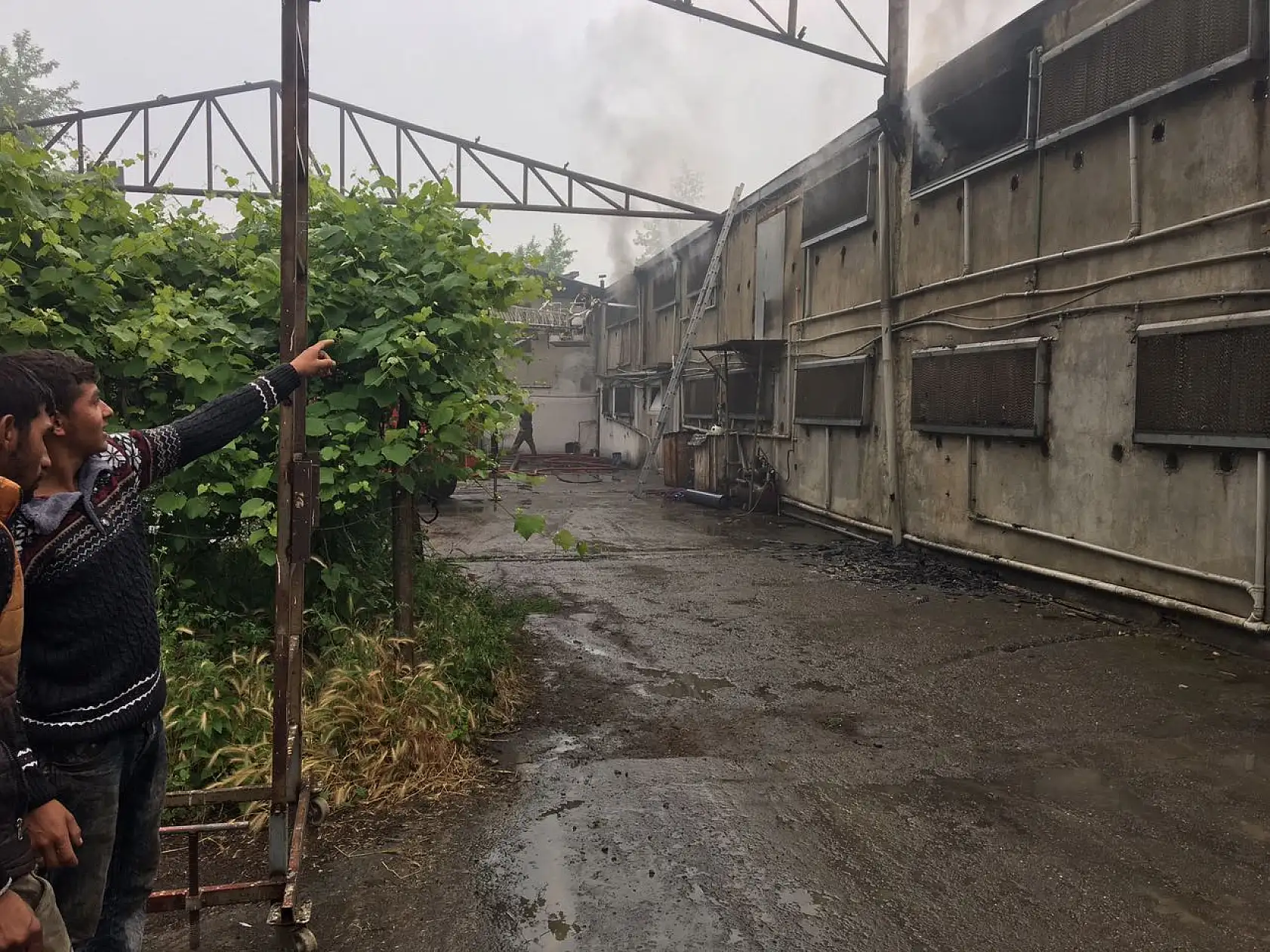 Tavuk çiftliğinde yangın