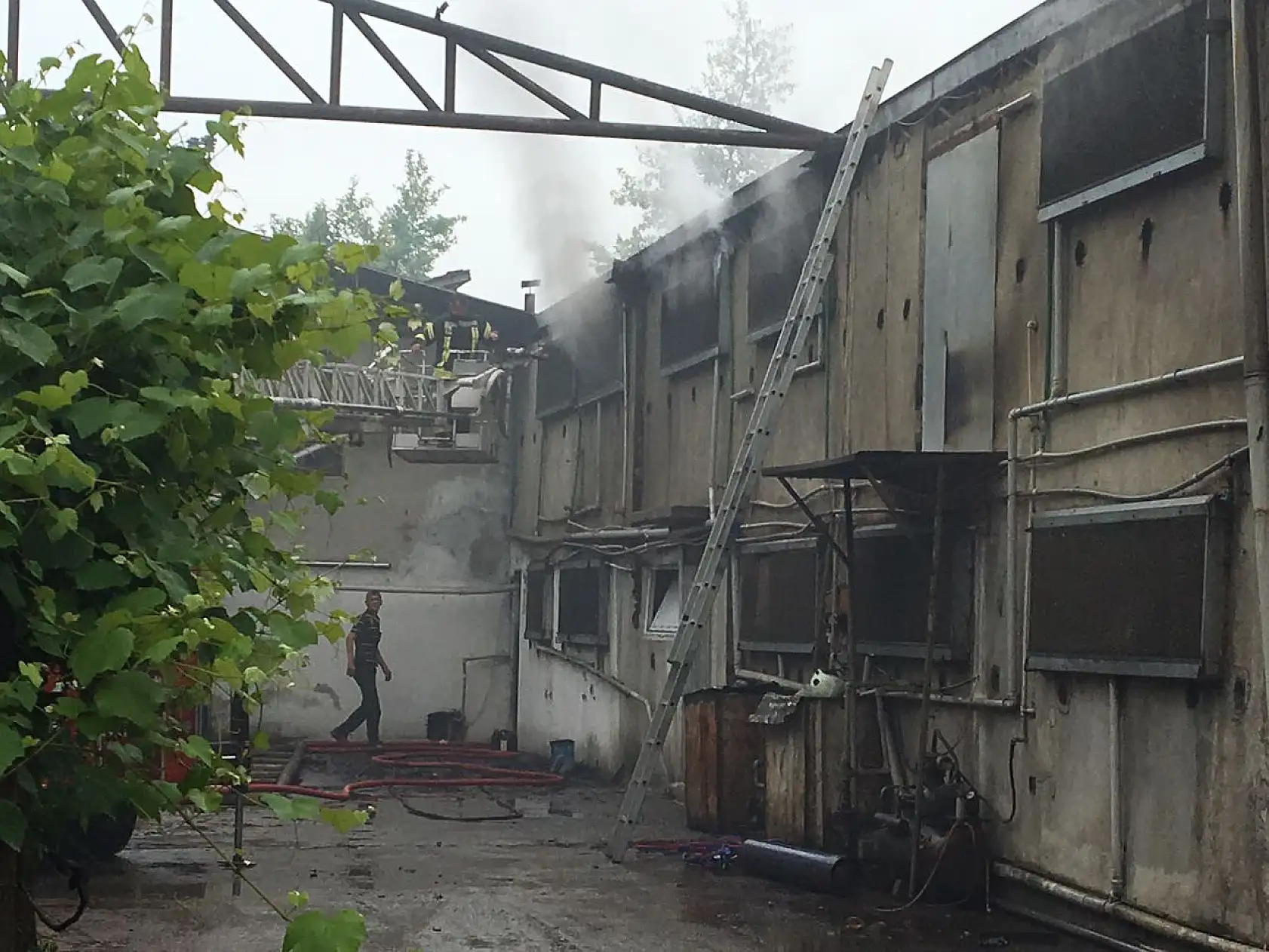 Tavuk çiftliğinde yangın