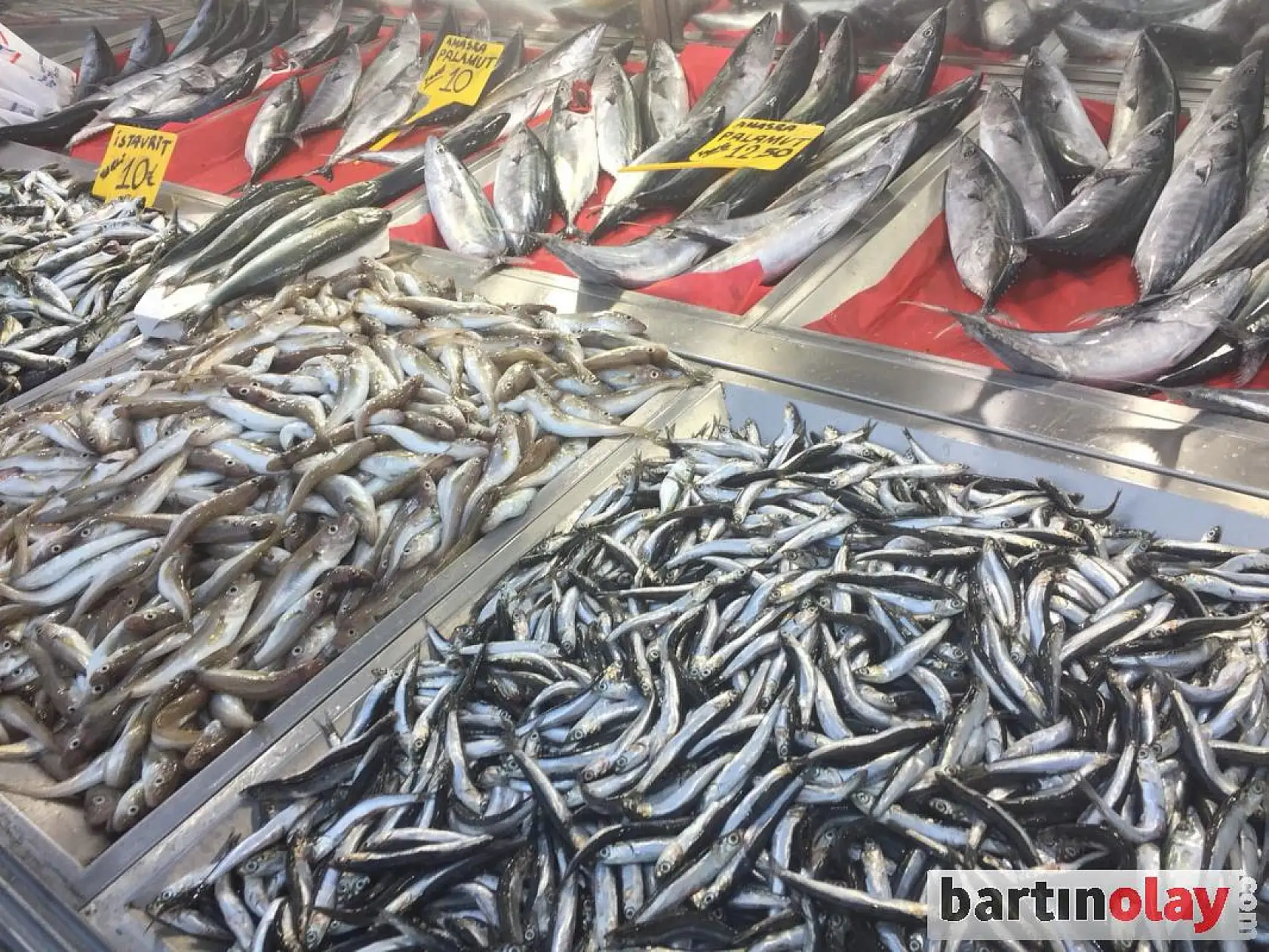 Vatandaş fiyatı görünce akın etti