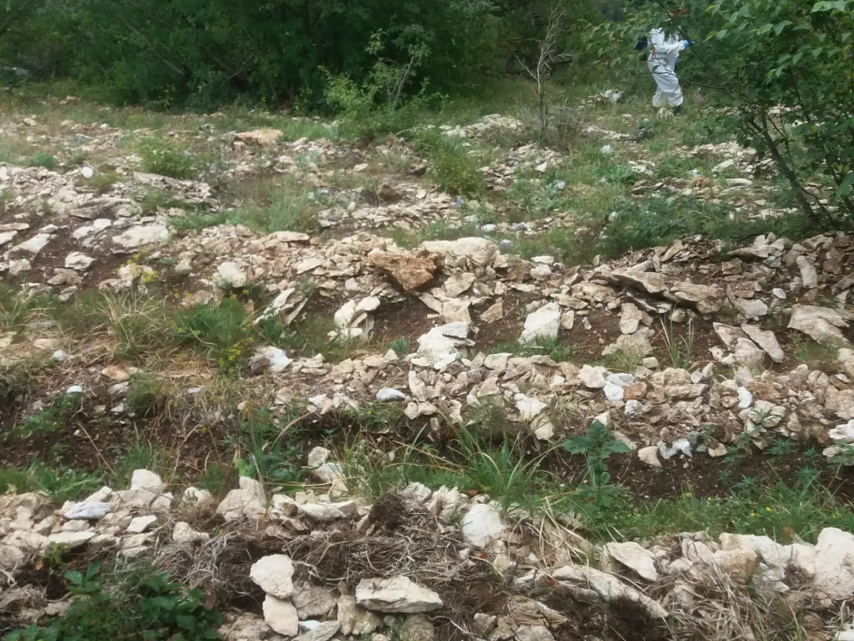 Milli parkta uyuşturucu imalatı