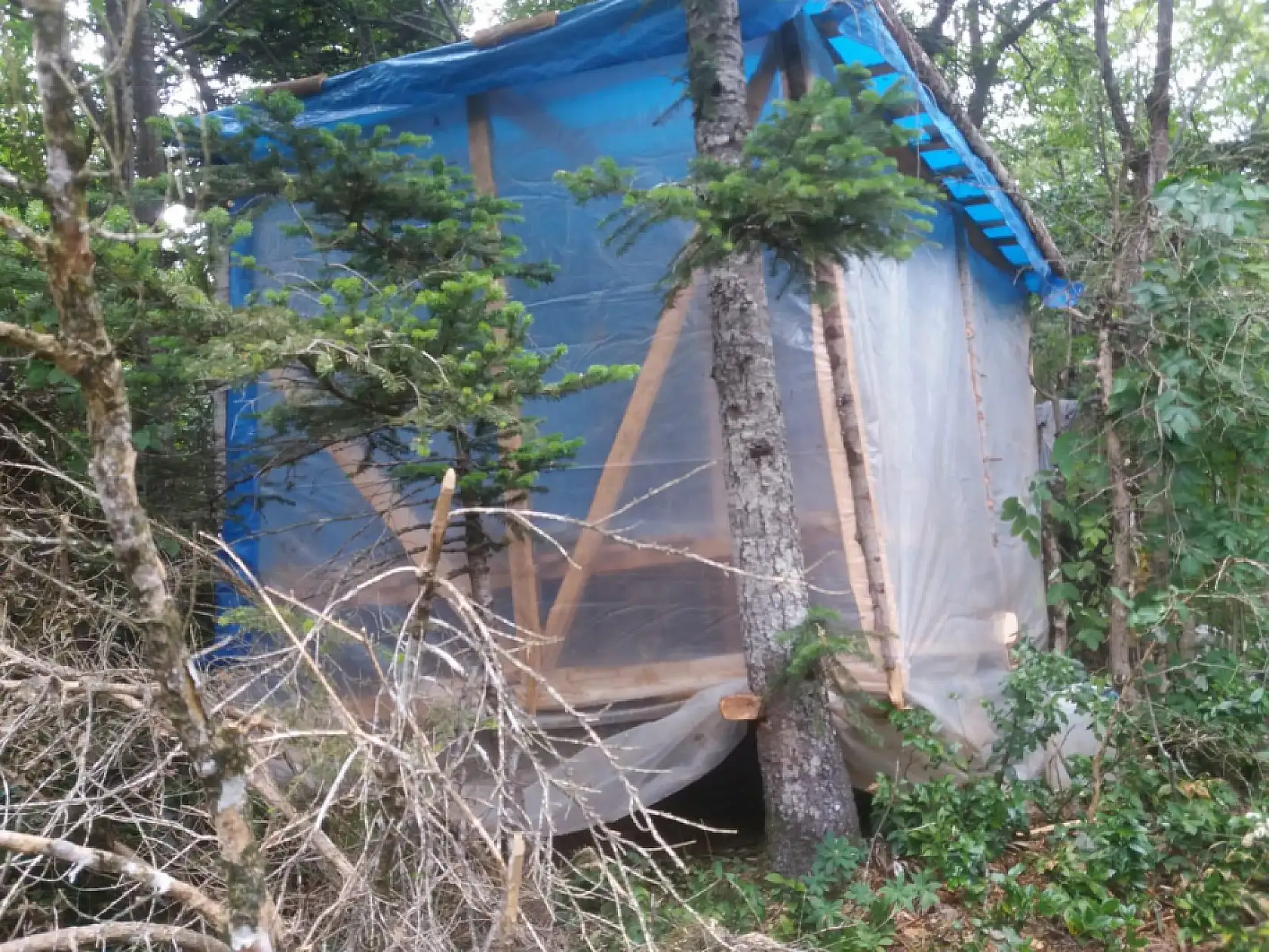 Milli parkta uyuşturucu imalatı