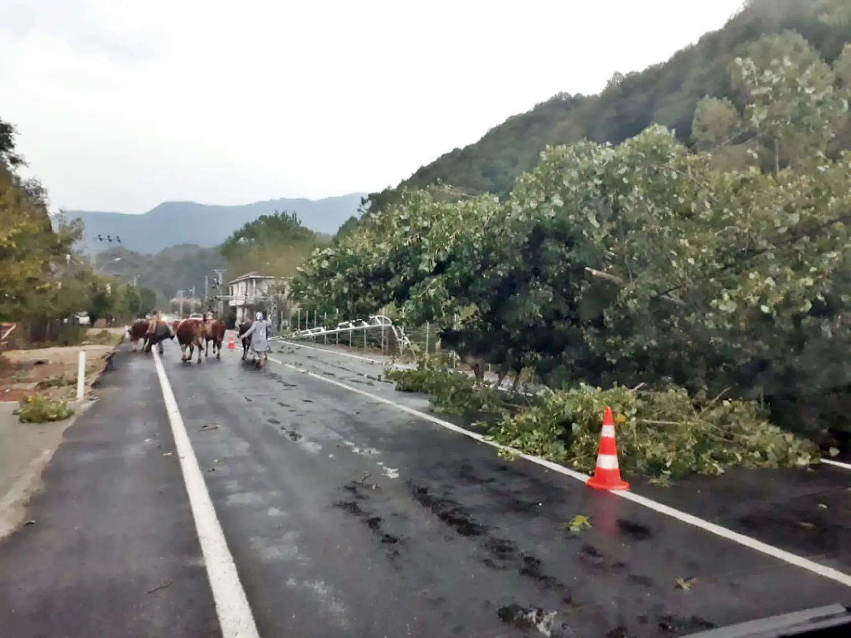 Fırtınada faciadan dönüldü, 3 direk yıkıldı