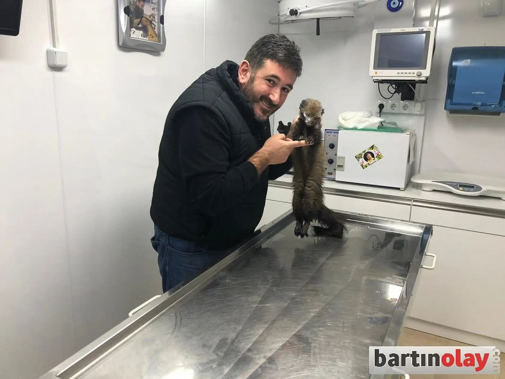 Yaralı sansar tedavi edildi