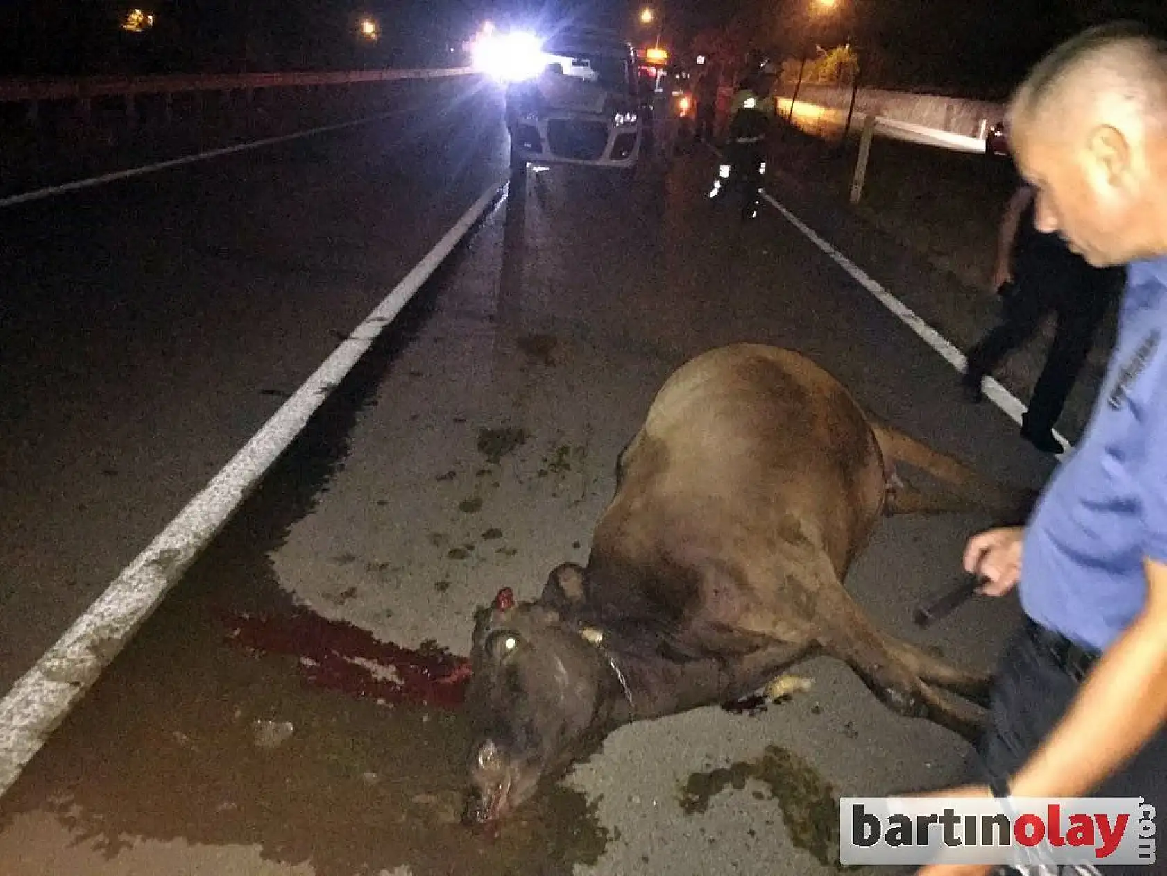 Yollarda tehlike kol geziyor!