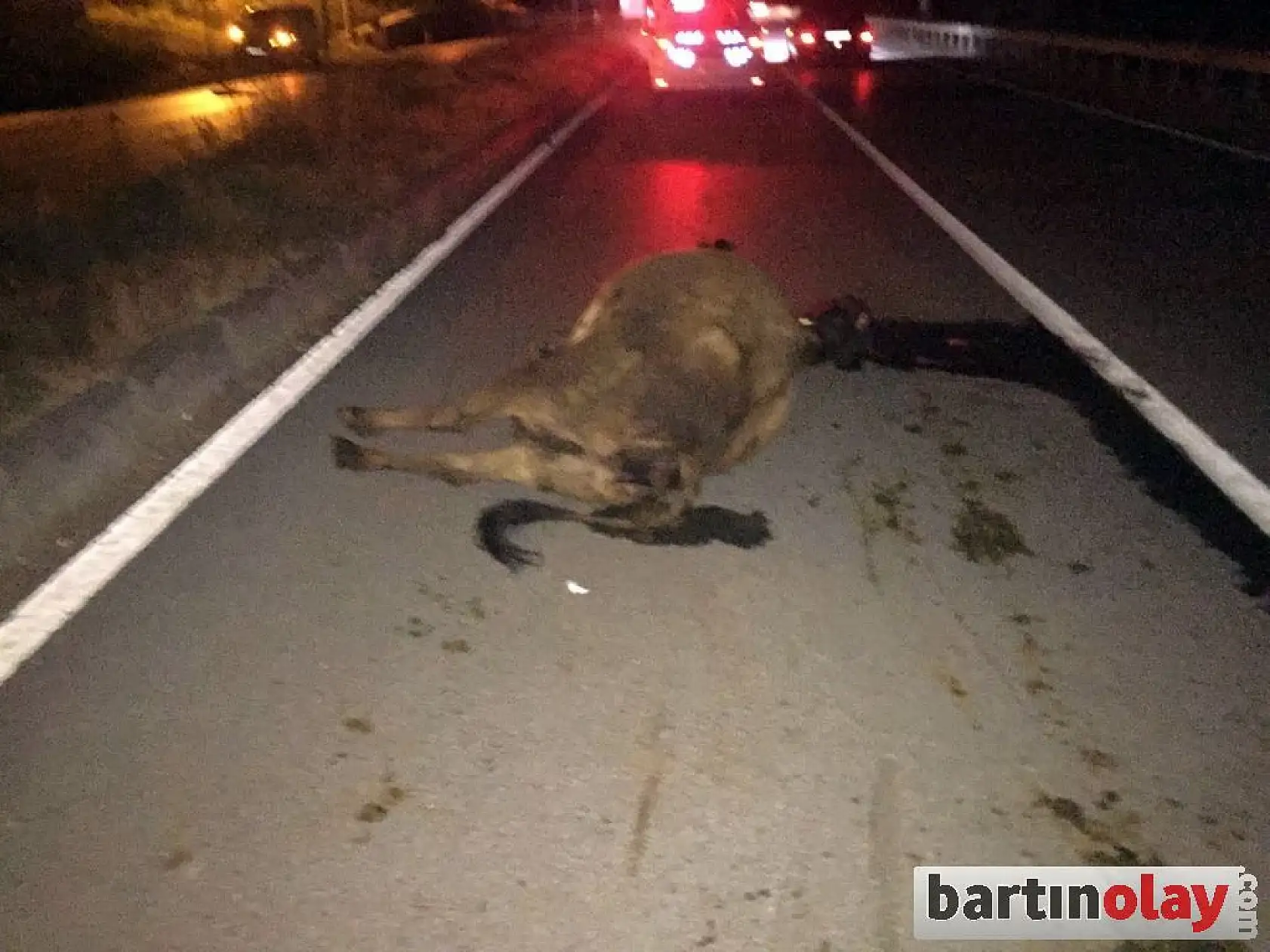 Yollarda tehlike kol geziyor!