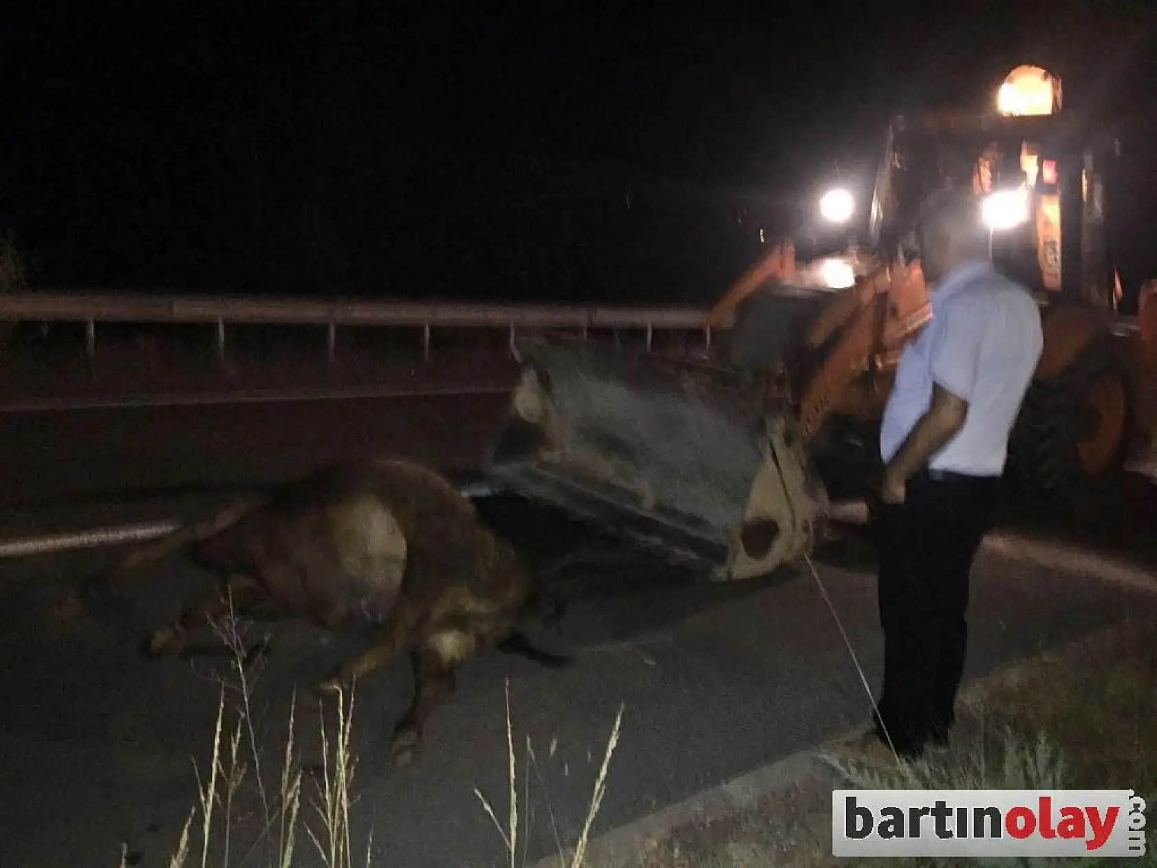 Yollarda tehlike kol geziyor!