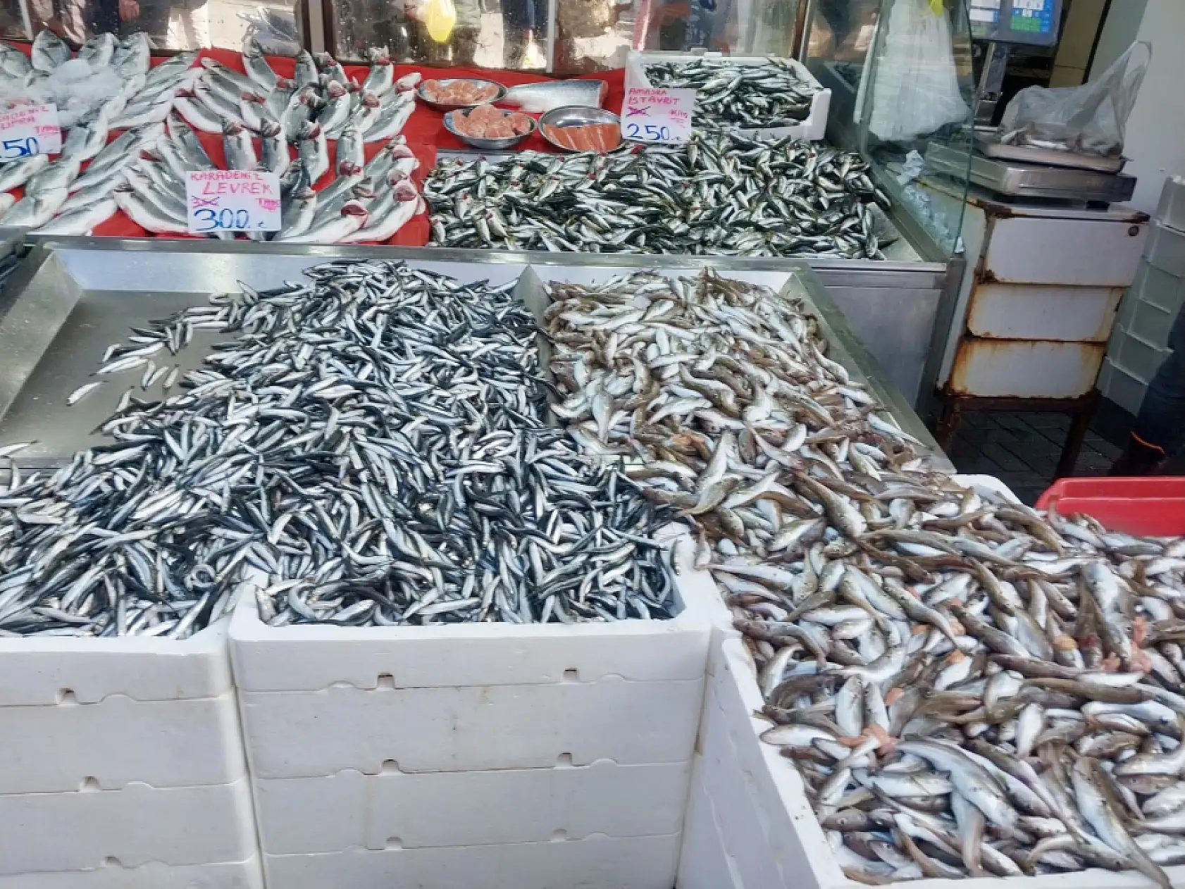 Tezgahın kralı geldi