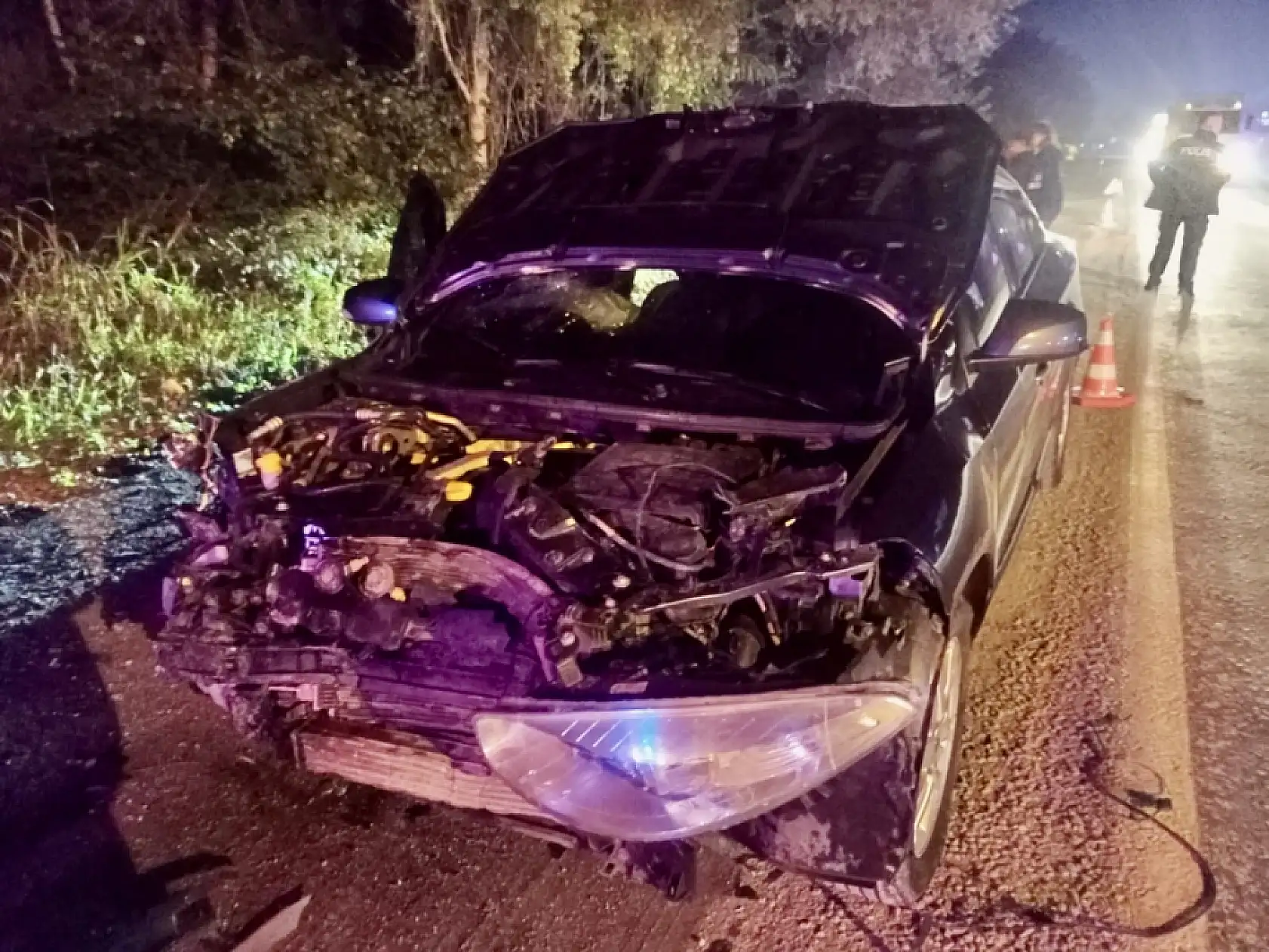 Yola çıkan domuza çarptı