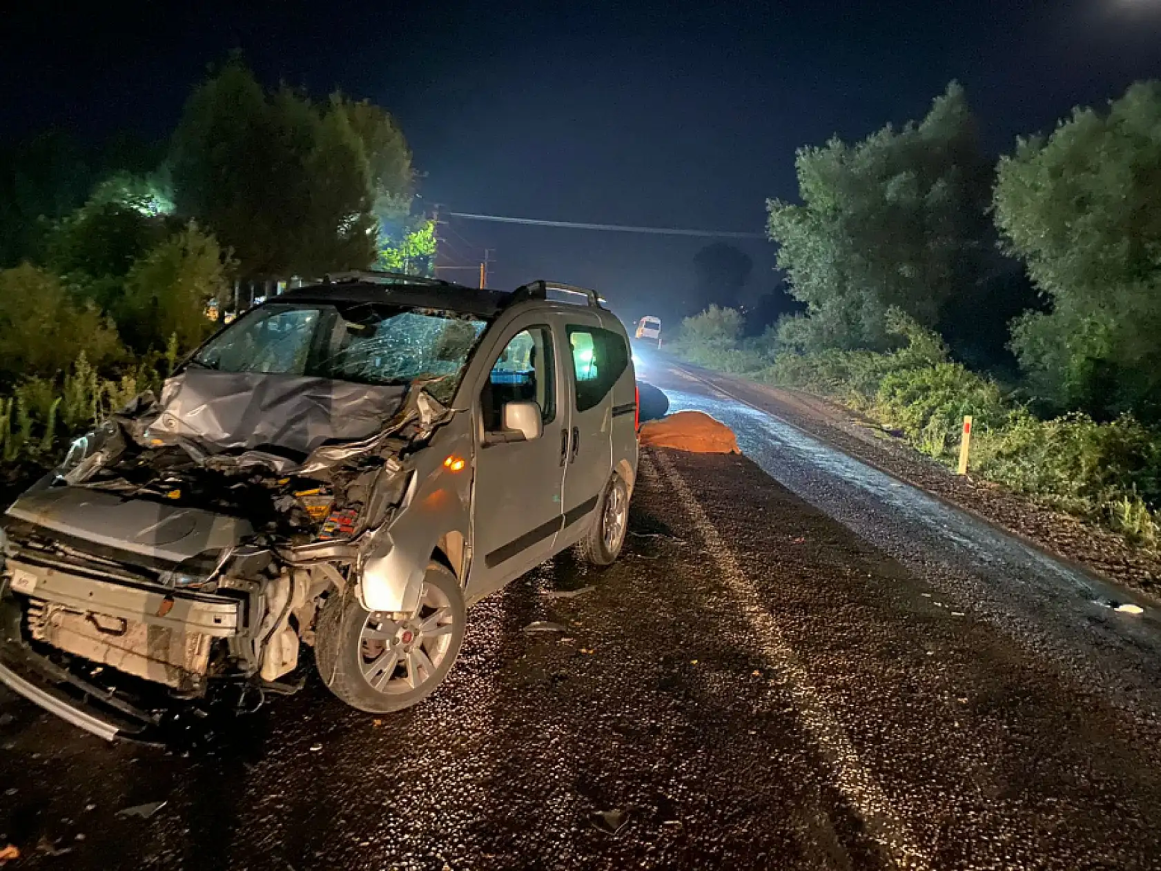 Üç hayvana birden çarptı