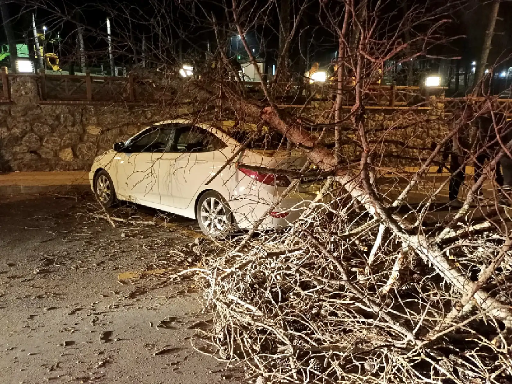 Bartın'da beklenmedik kaza