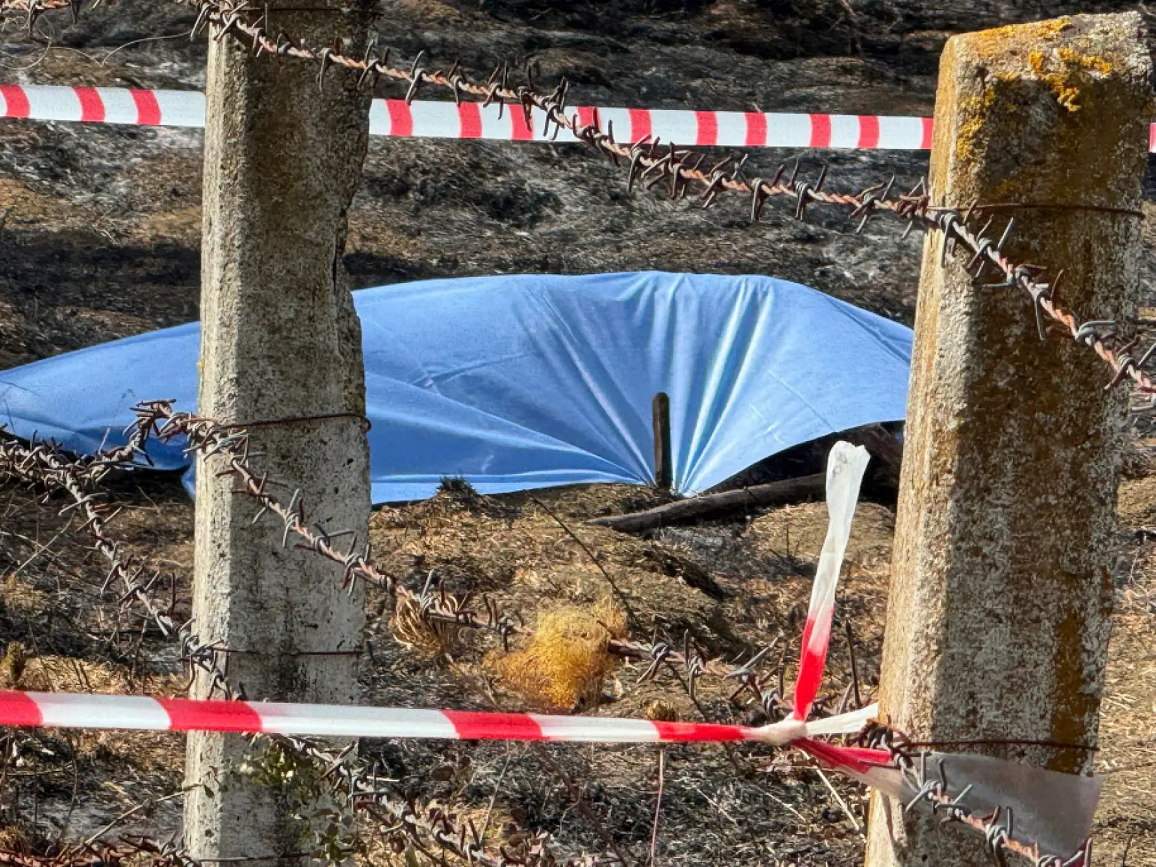 Acı olayda dikkat çeken ayrıntı