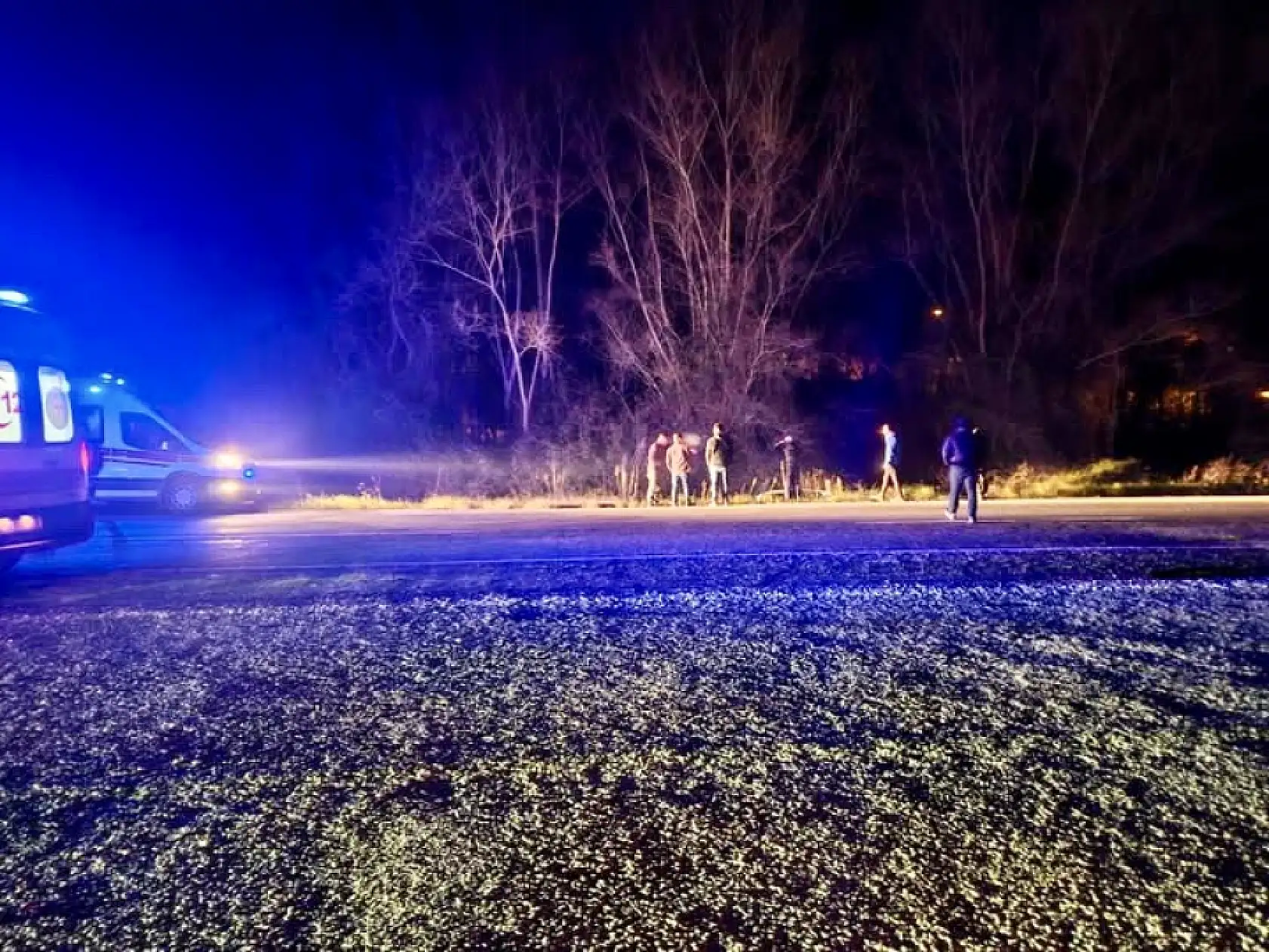 Domuz yüzünden şarampole yuvarlandı