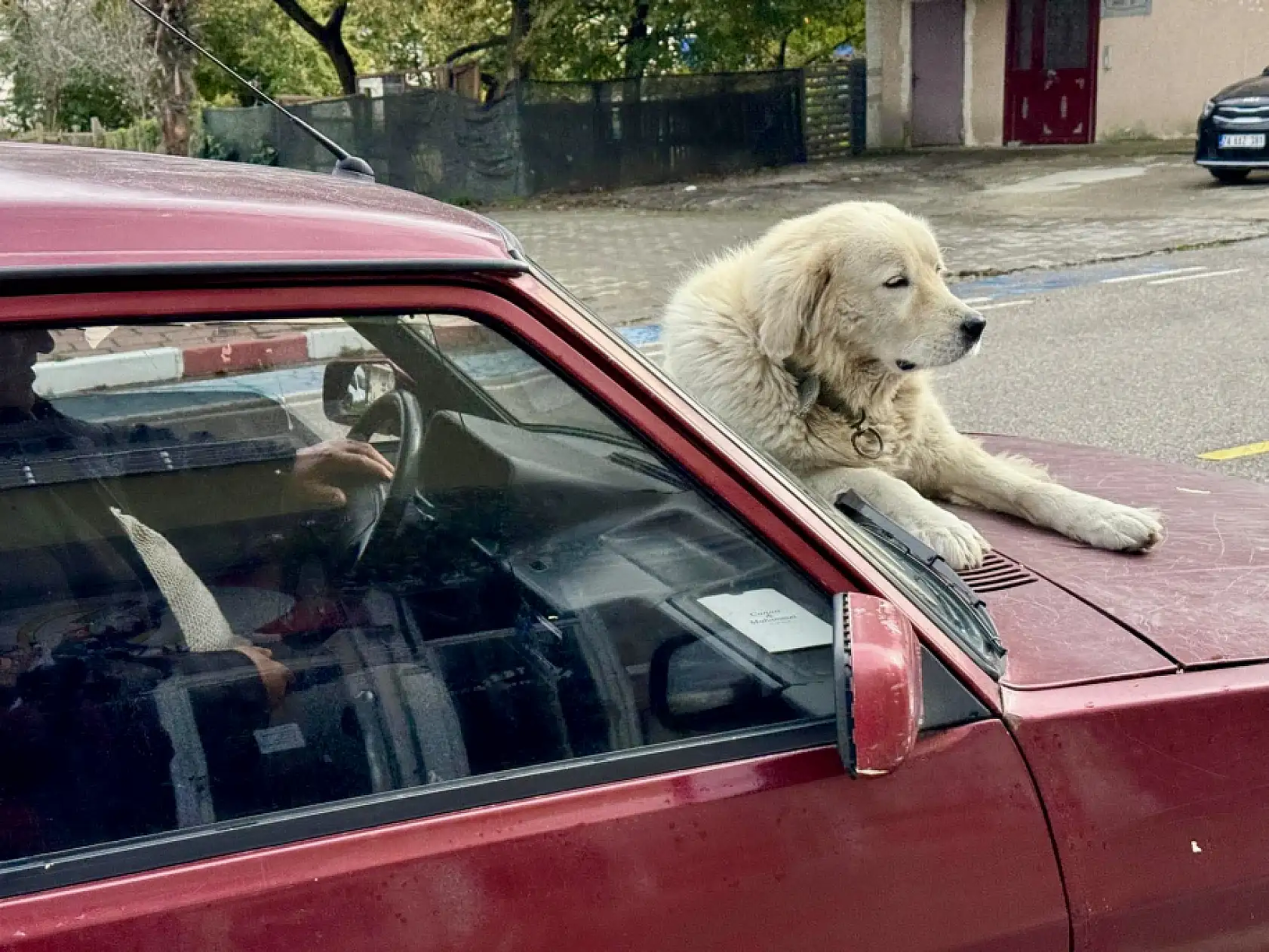 Bartın Olay'a çıkan Binnaz ünlü oldu
