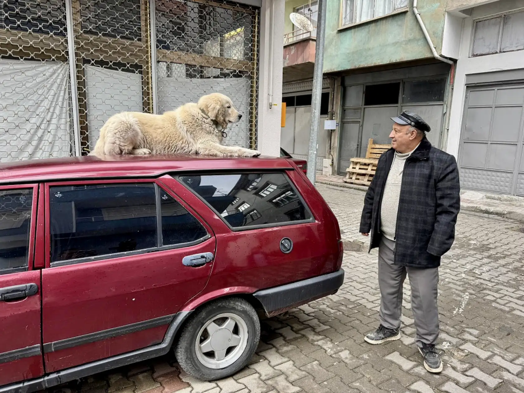 Bartın Olay'a çıkan Binnaz ünlü oldu