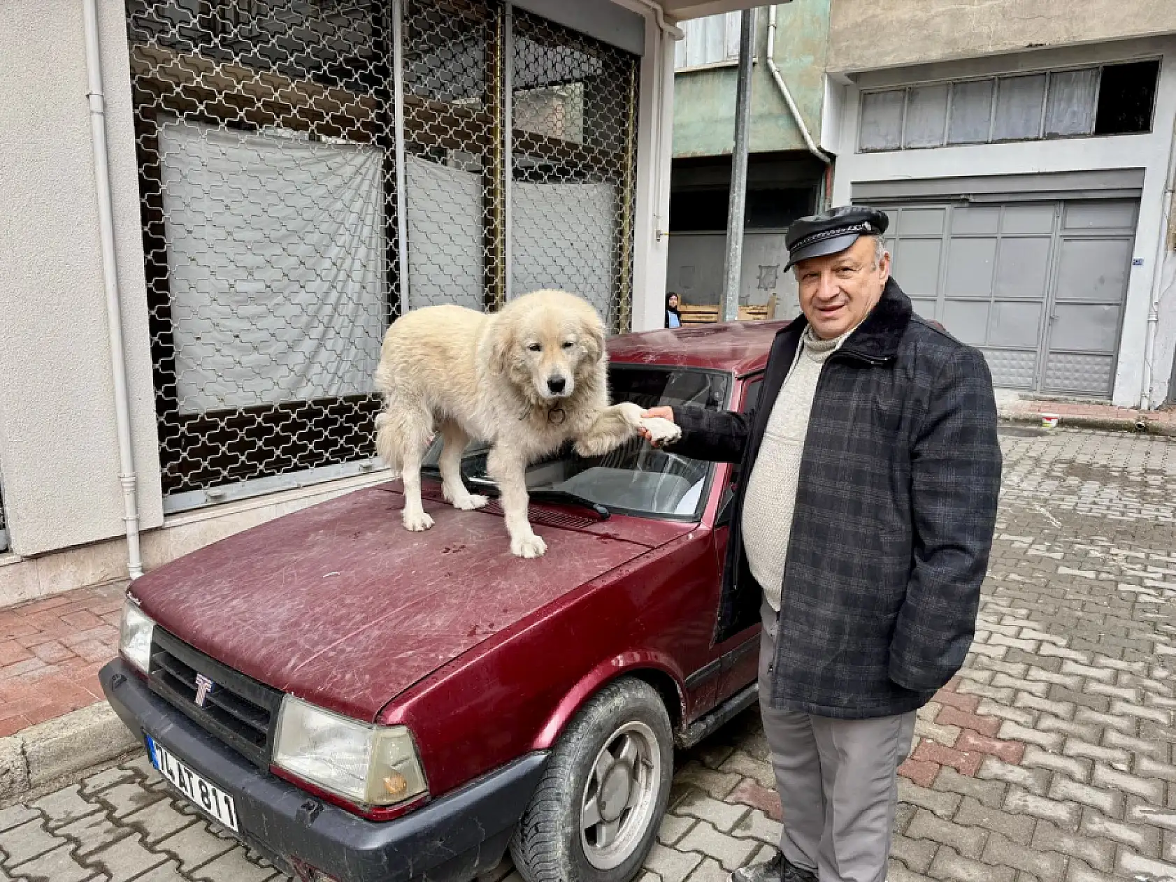 Bartın Olay'a çıkan Binnaz ünlü oldu