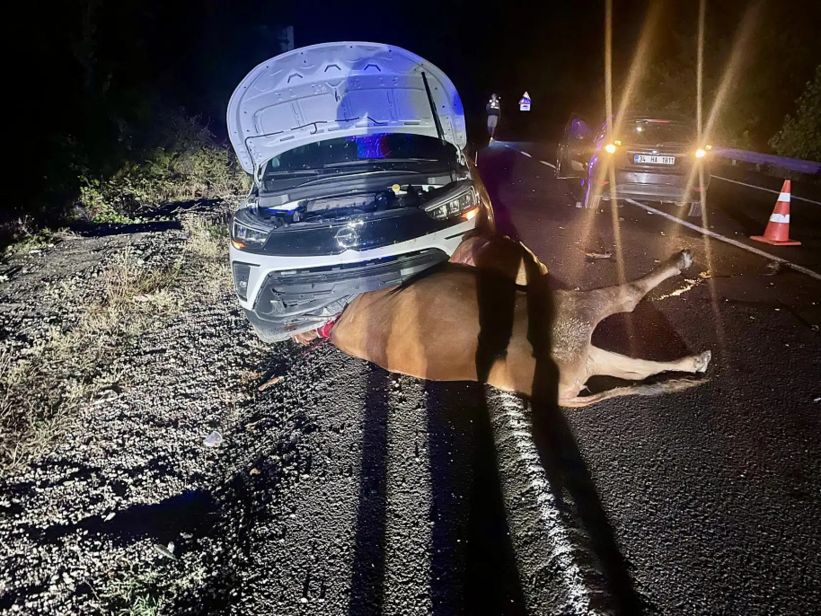 İki araç birden hayvana çarptı