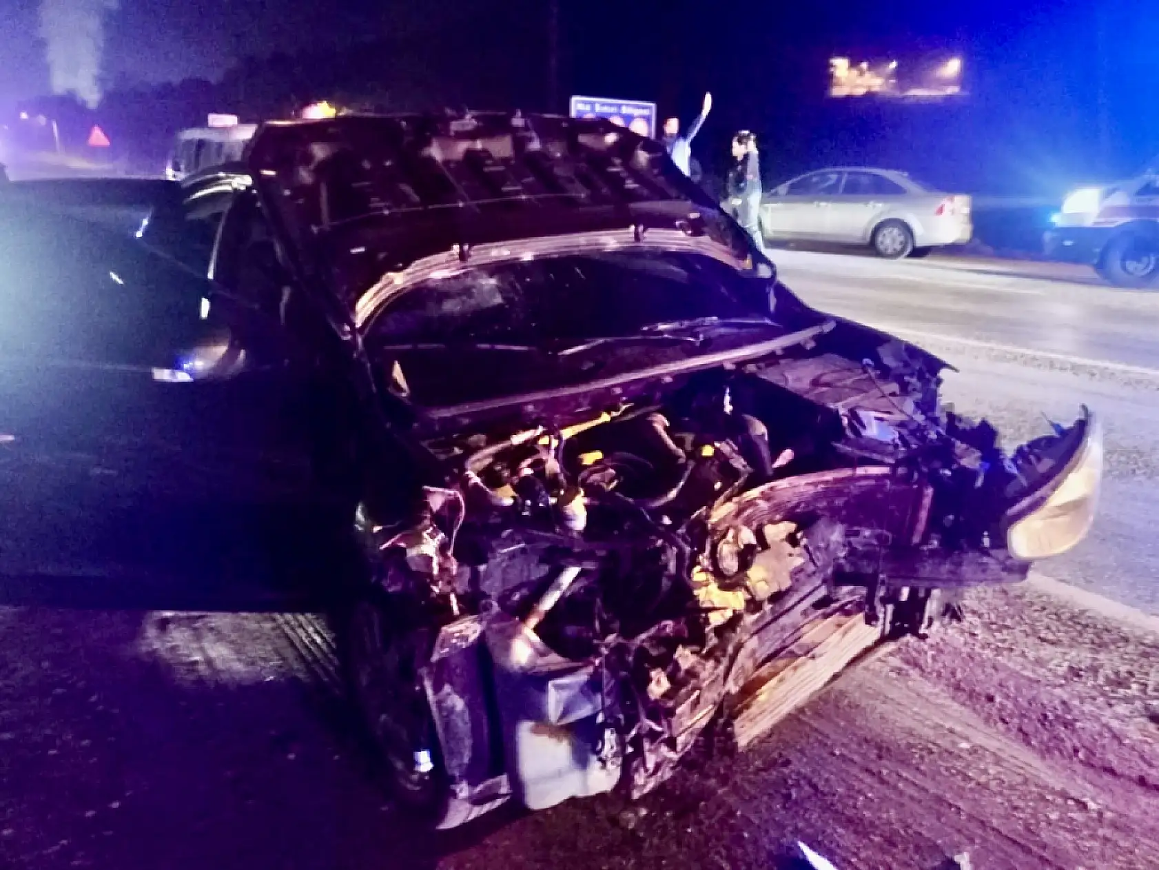 Yola çıkan domuza çarptı