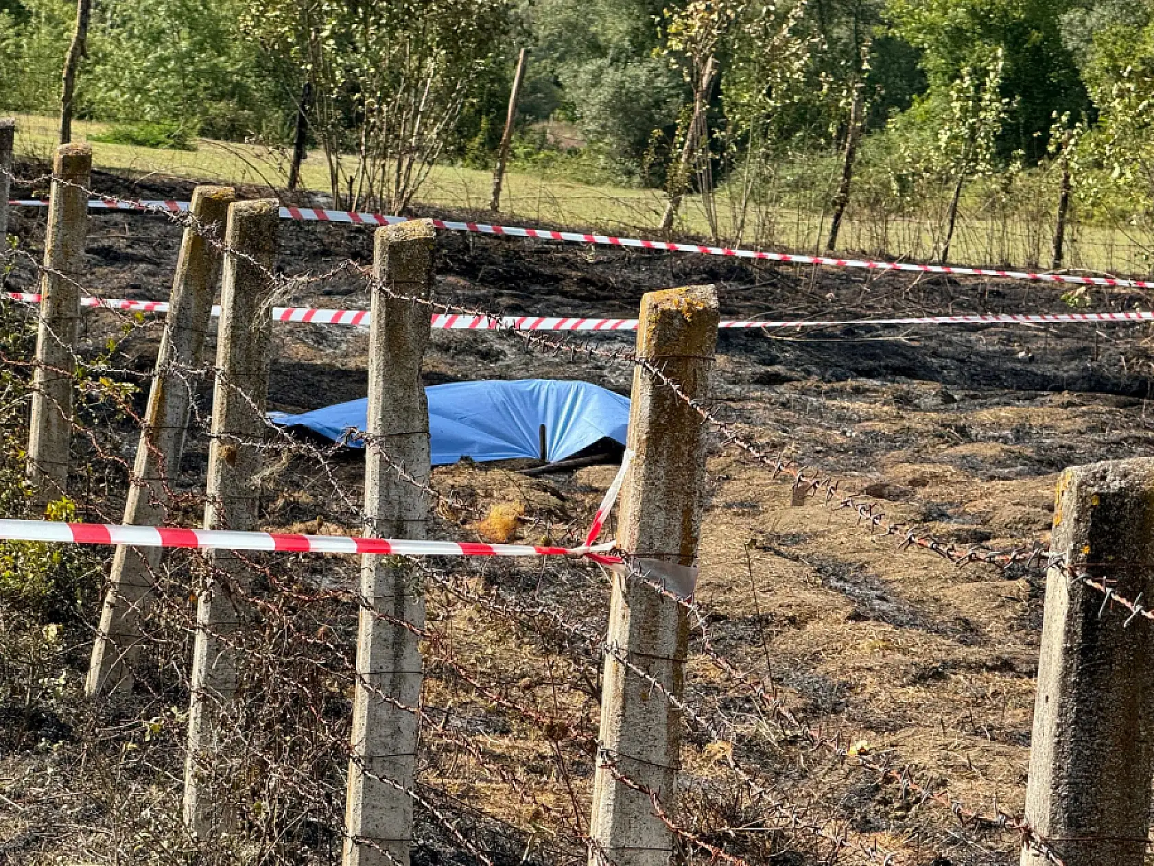 Tarlada cansız halde bulundu