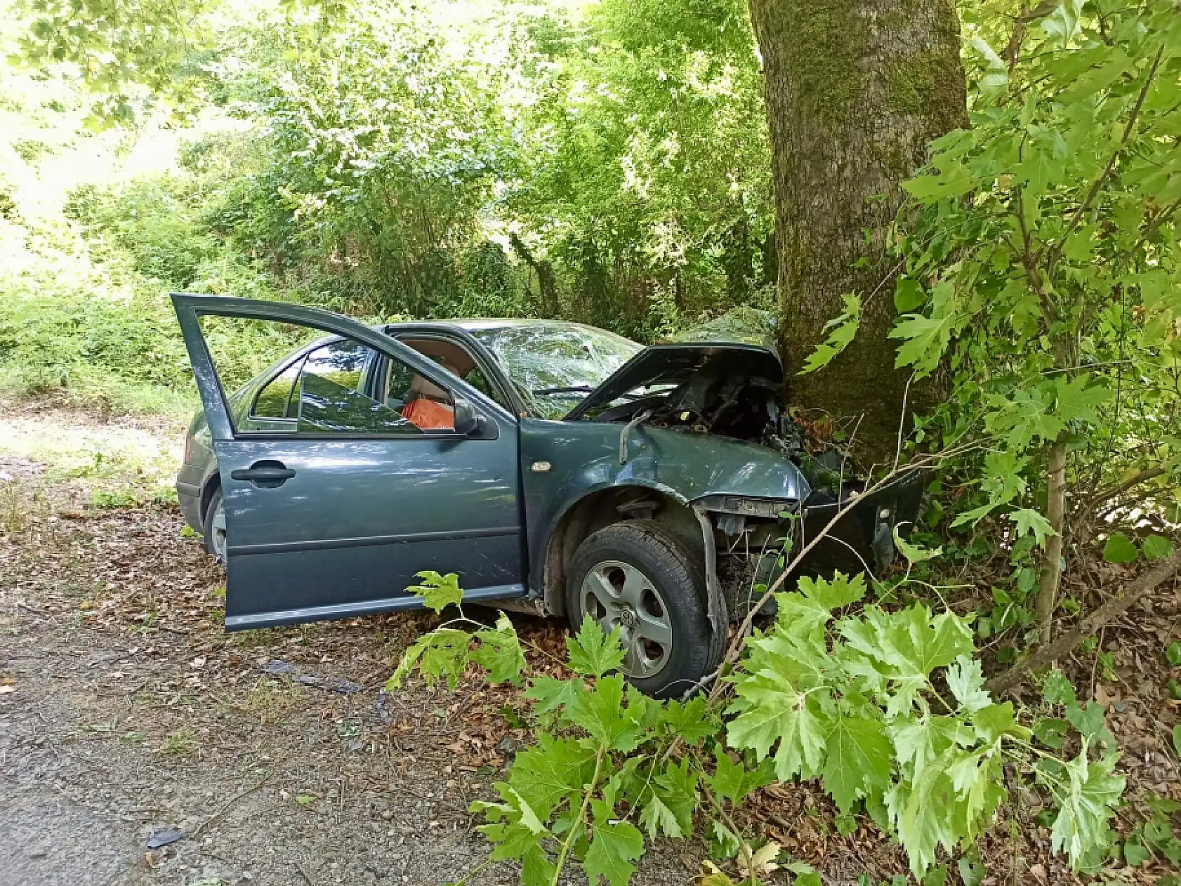 Otomobil Ağaca çarptı, 1 ölü 3 yaralı