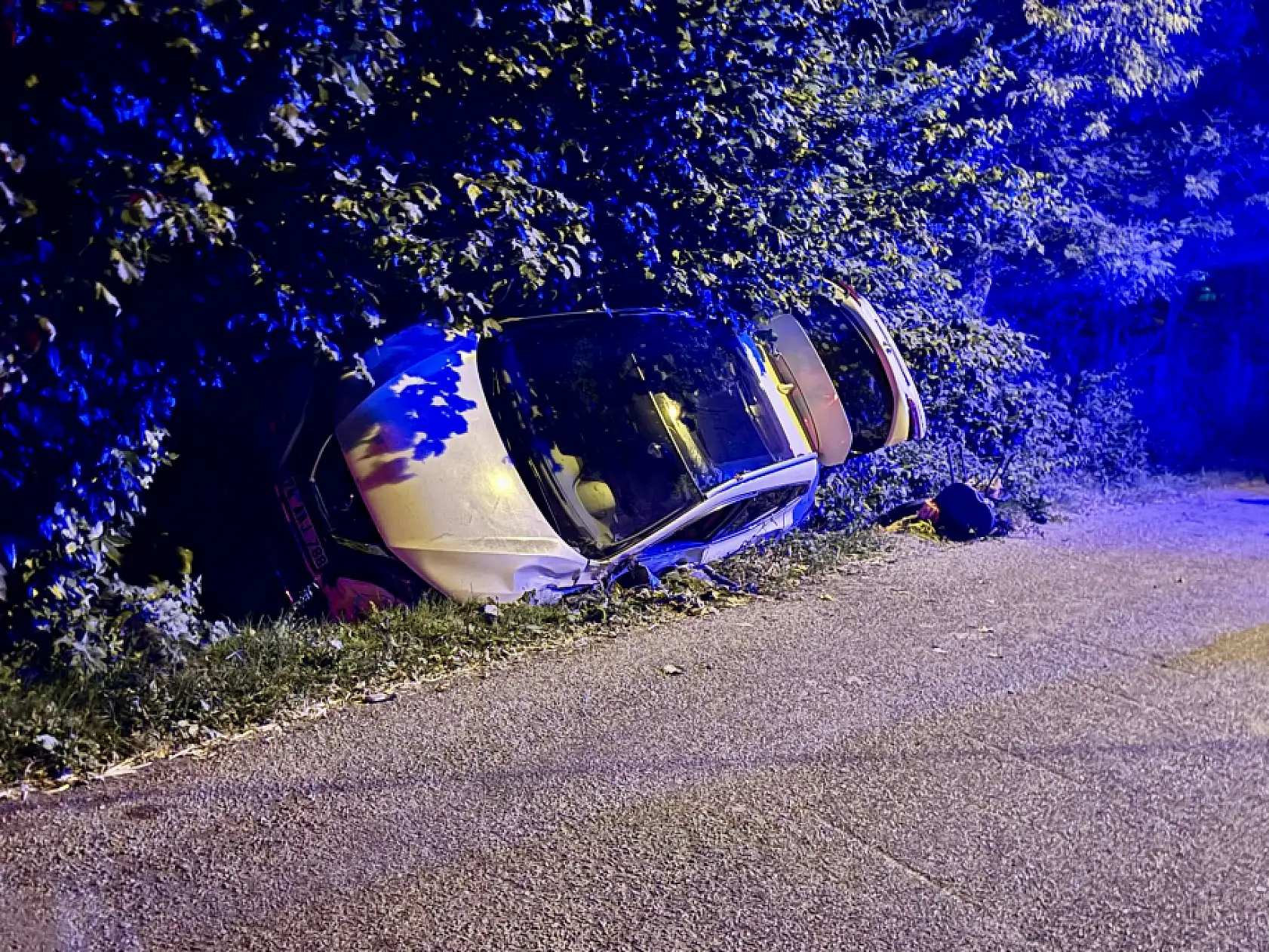 Kazada sürücü hayatını kaybetti