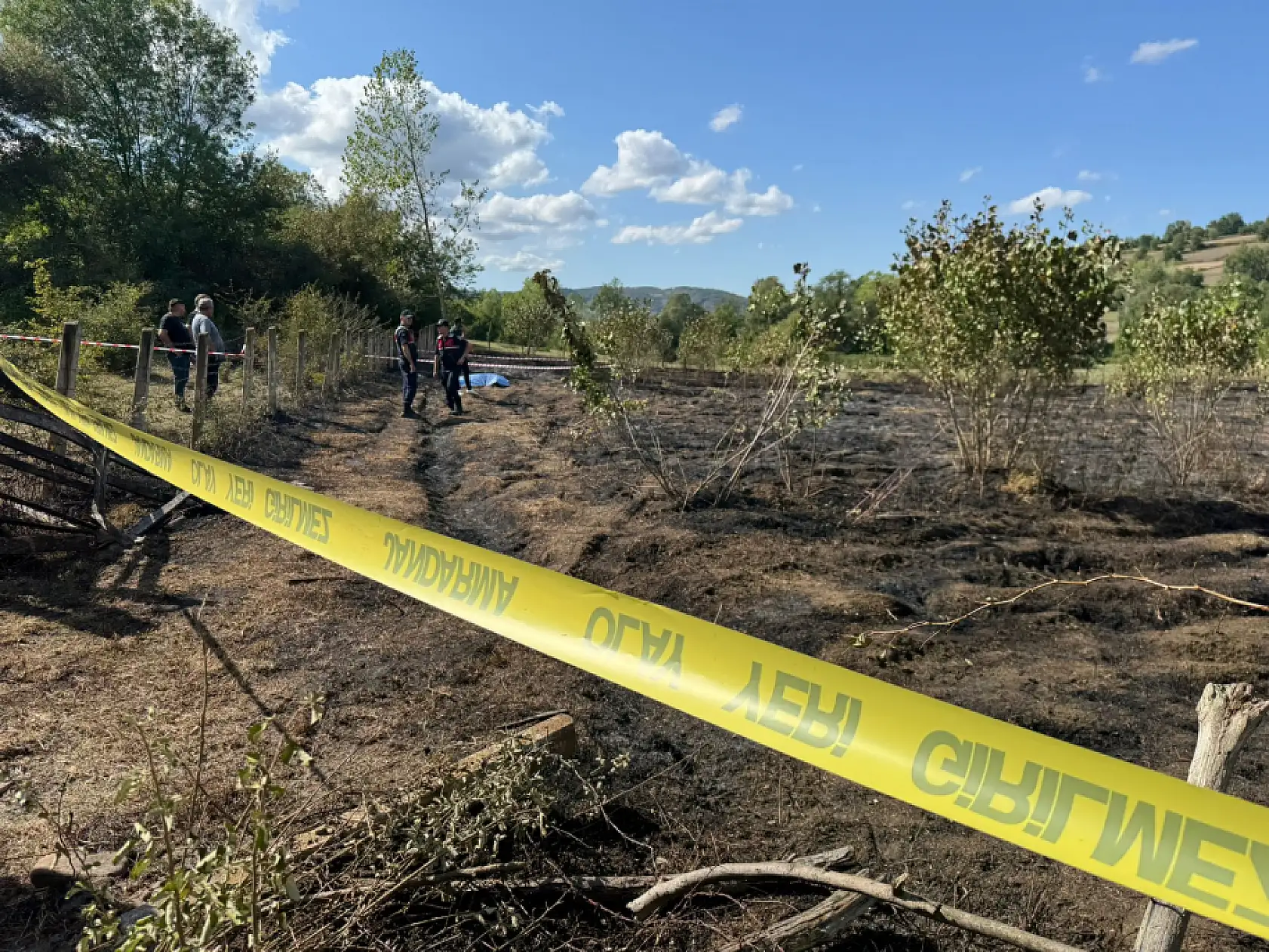 Tarlada cansız halde bulundu