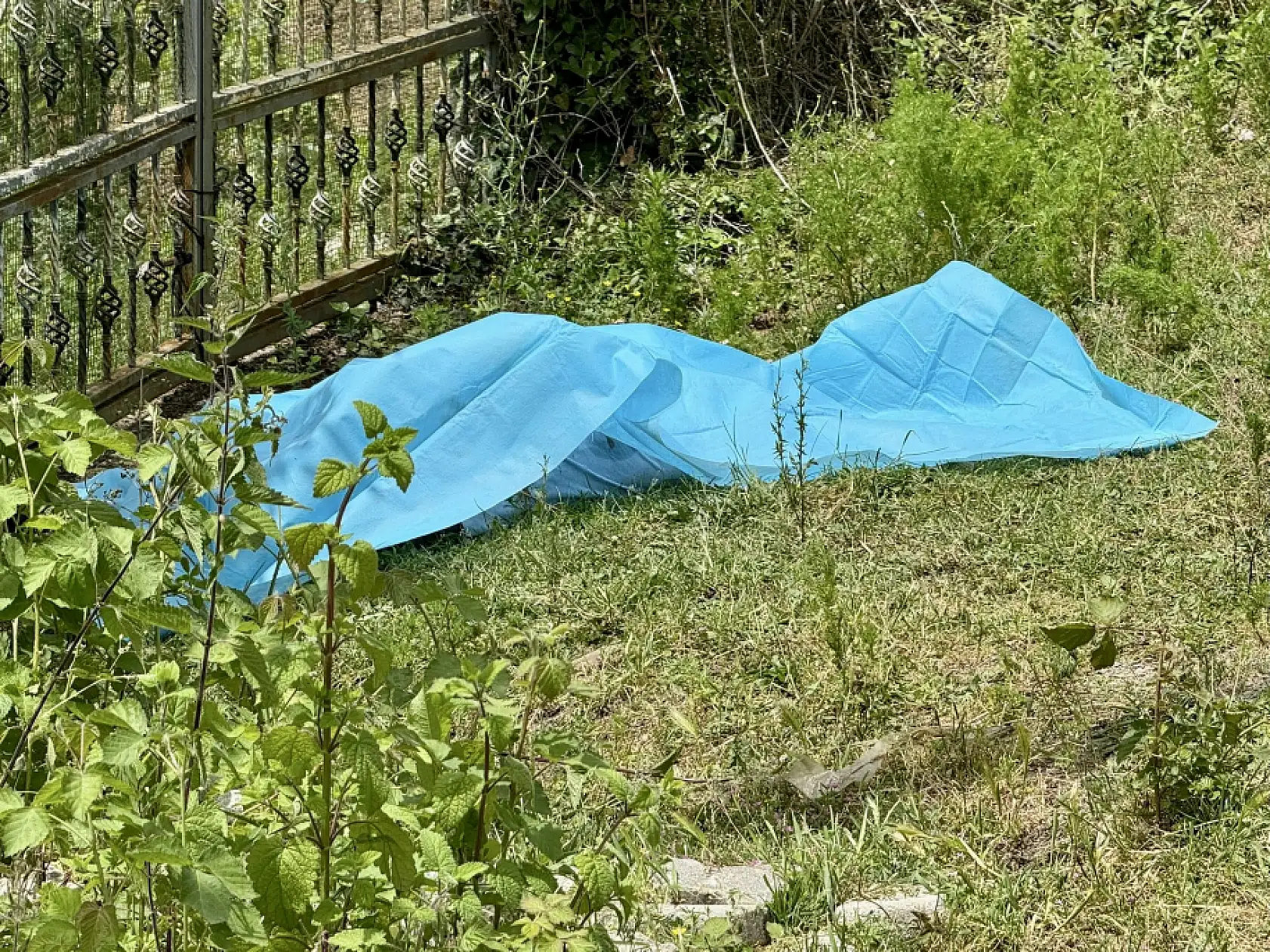 Bartın'da Tüfekli Dehşet: 3 Ölü