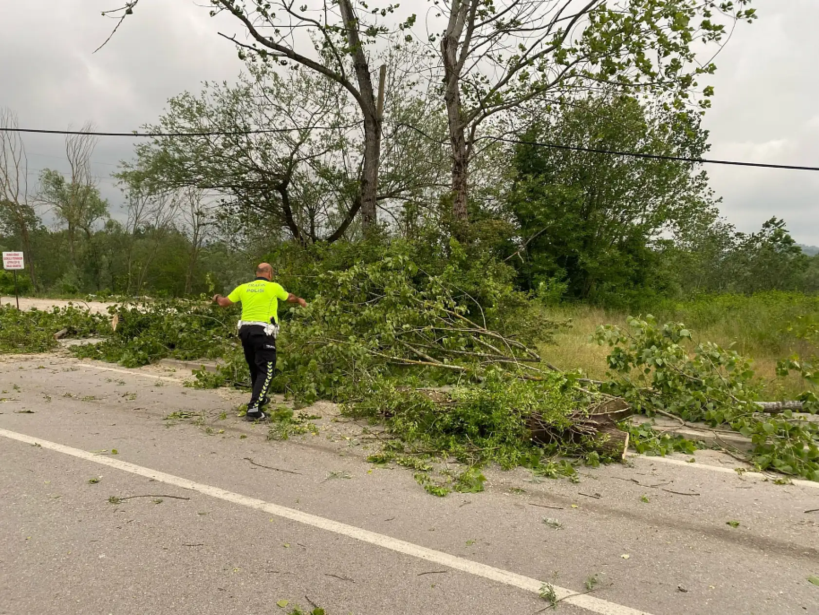 Bartın'da Fırtına ağaçları devirdi