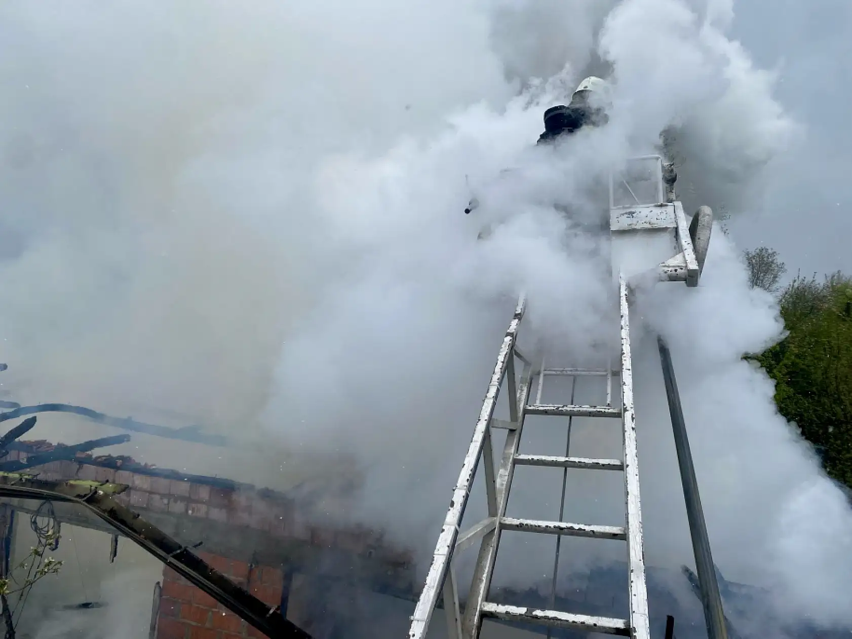 Feci Şekilde Can Verdi