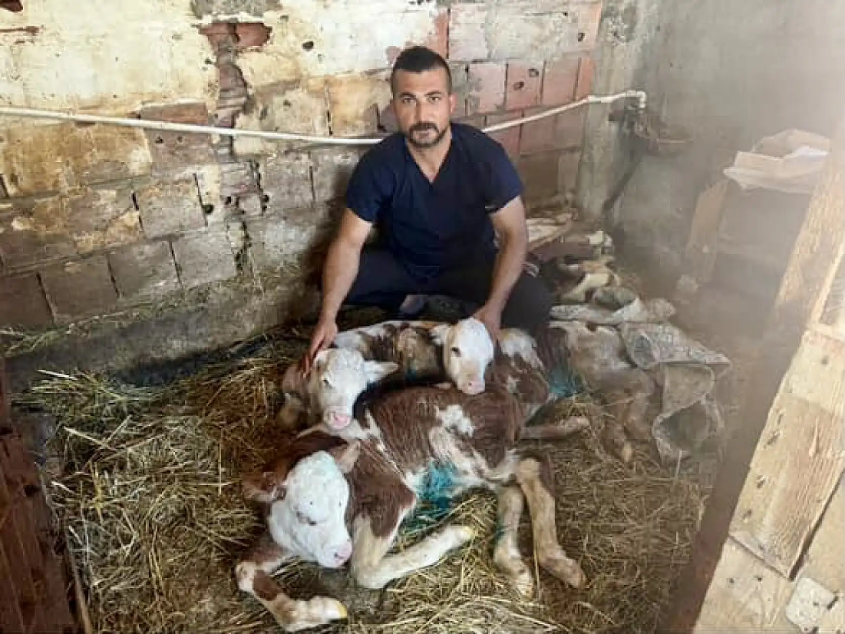 Bartın'da Nadir Görülen Olay