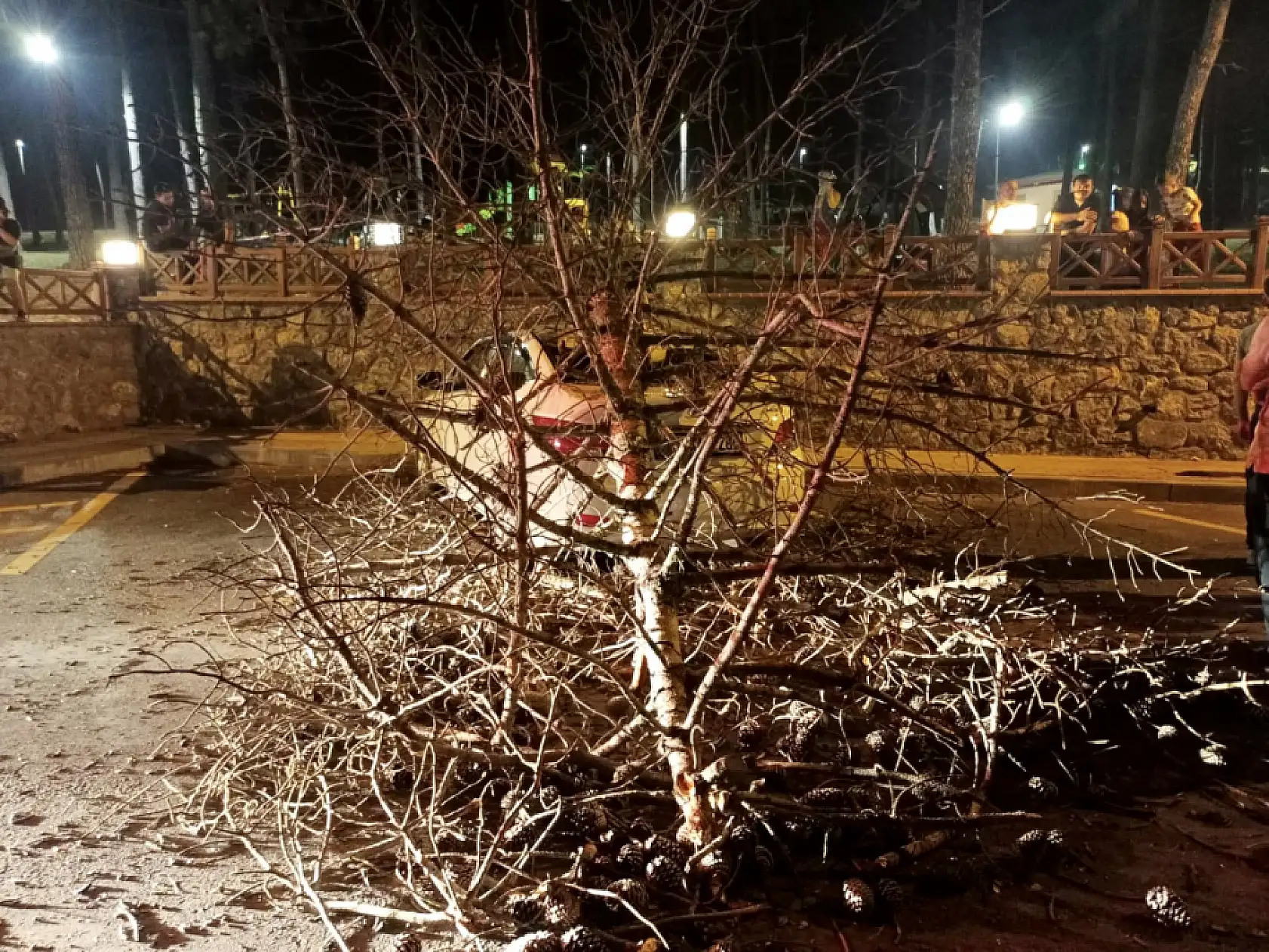 Bartın'da beklenmedik kaza