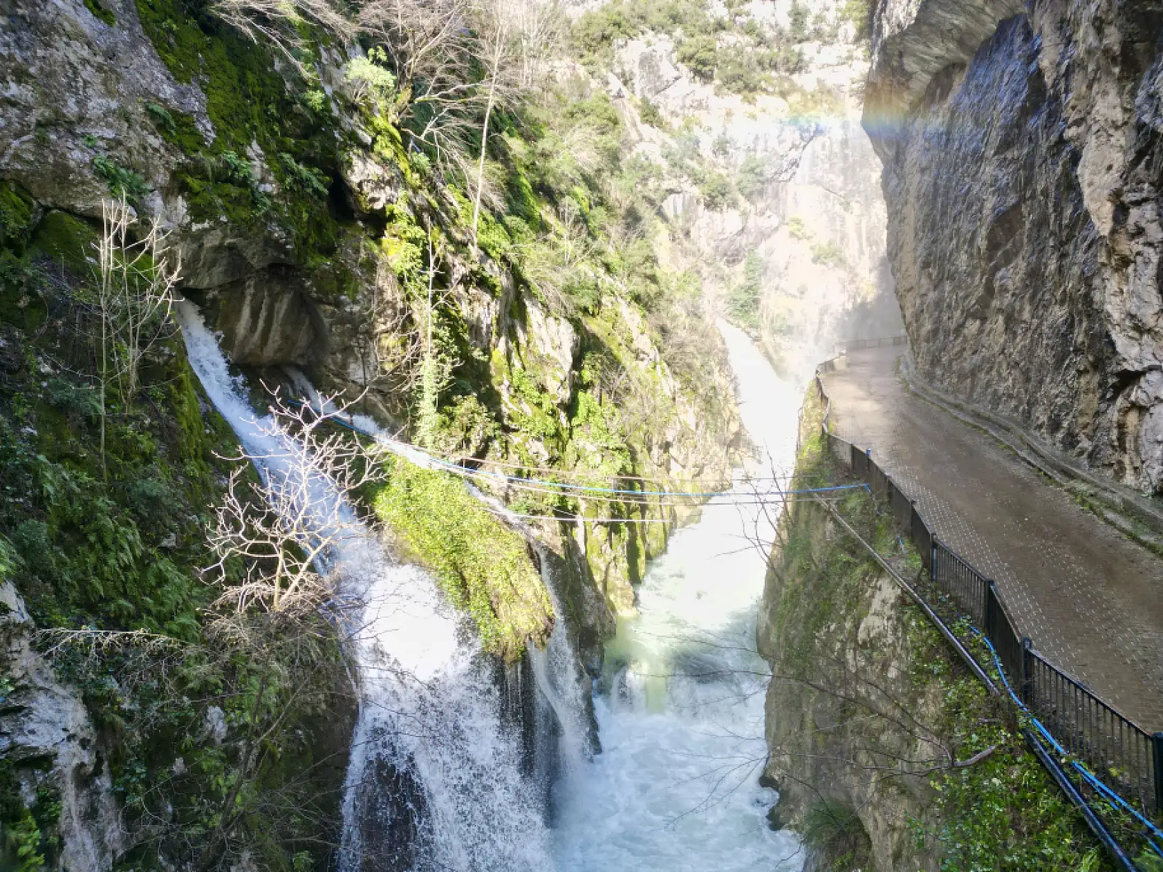 Ulukaya'da doğa sürprizi