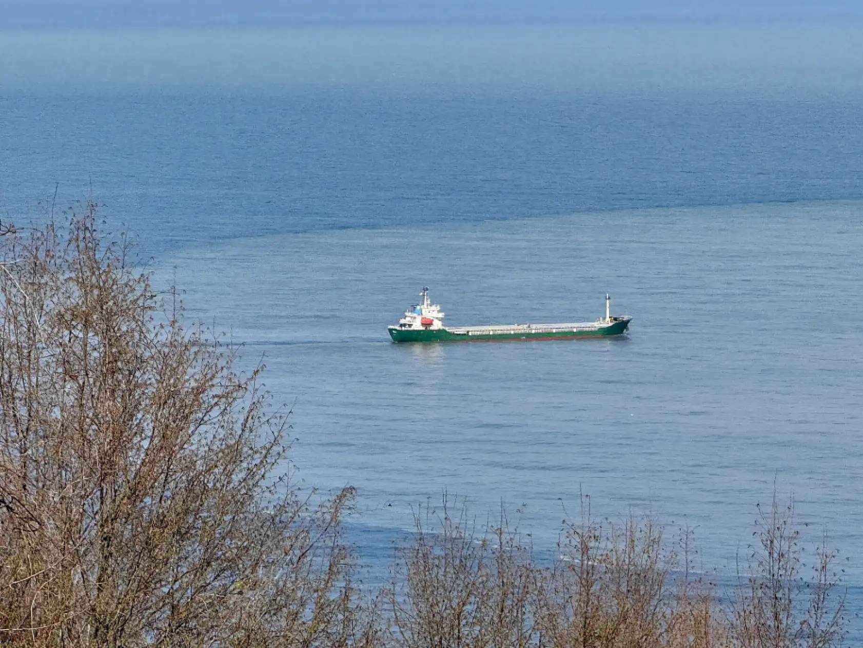 Denizin rengi değişti