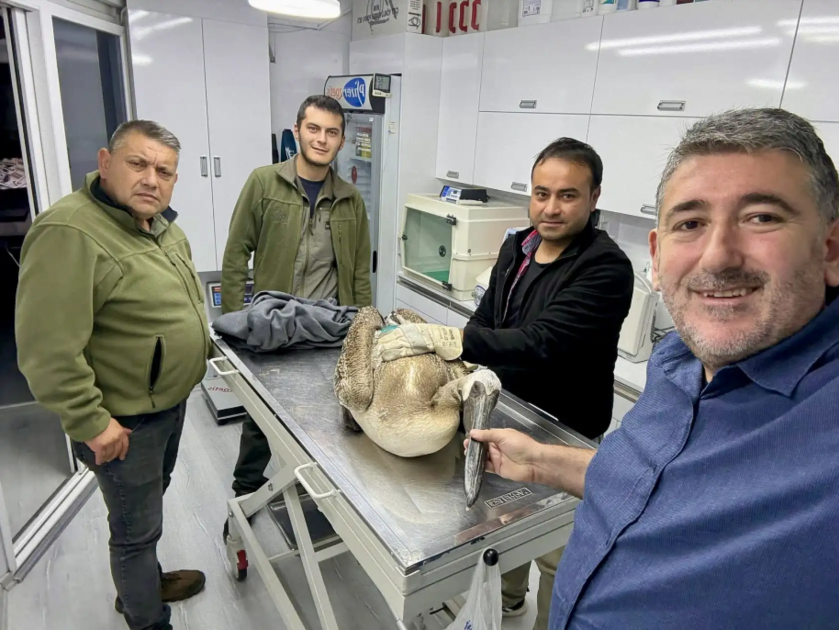 İnkumu sahilinde şaşırtan misafir