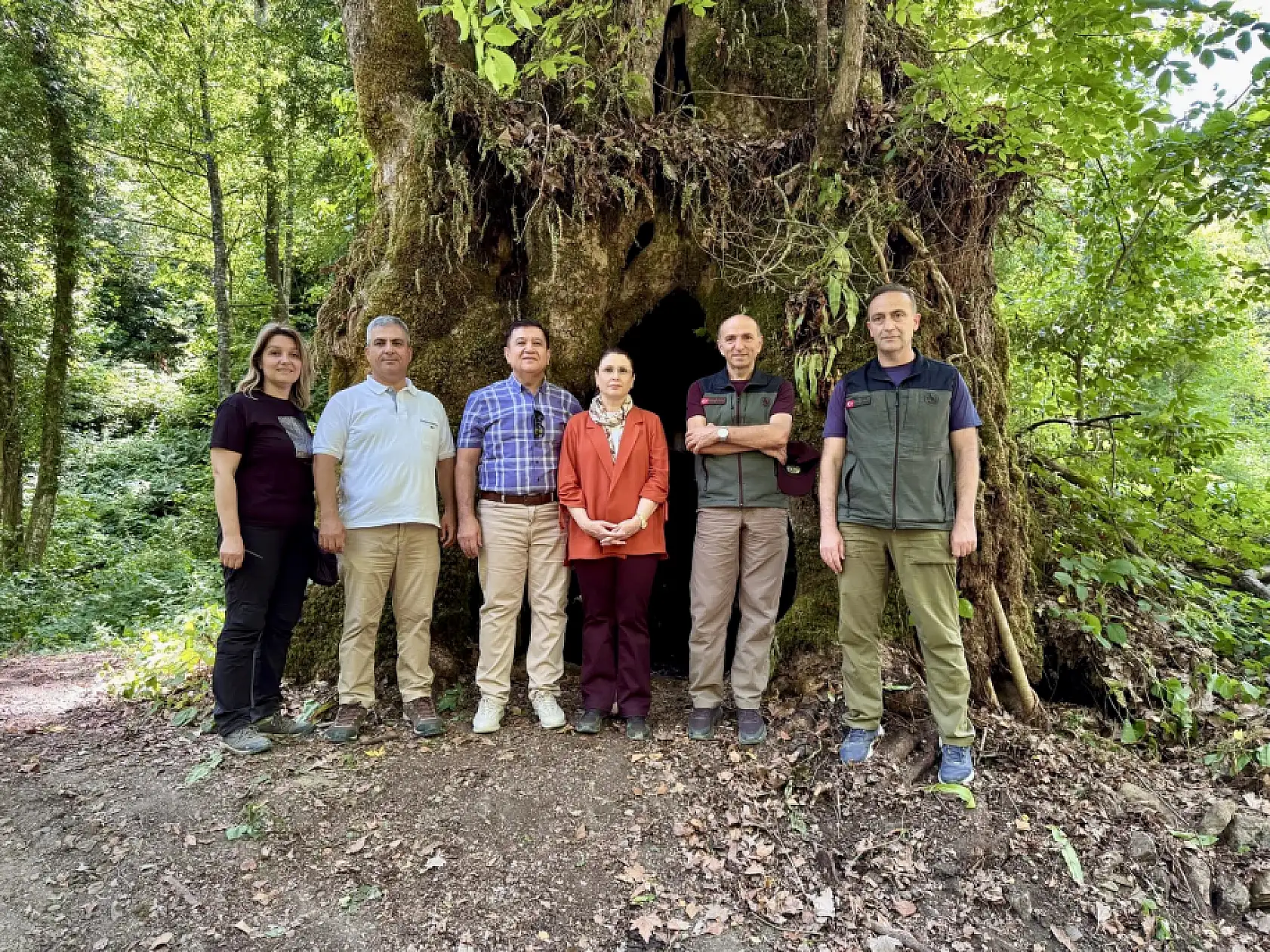 Bartın'da yeni keşif!